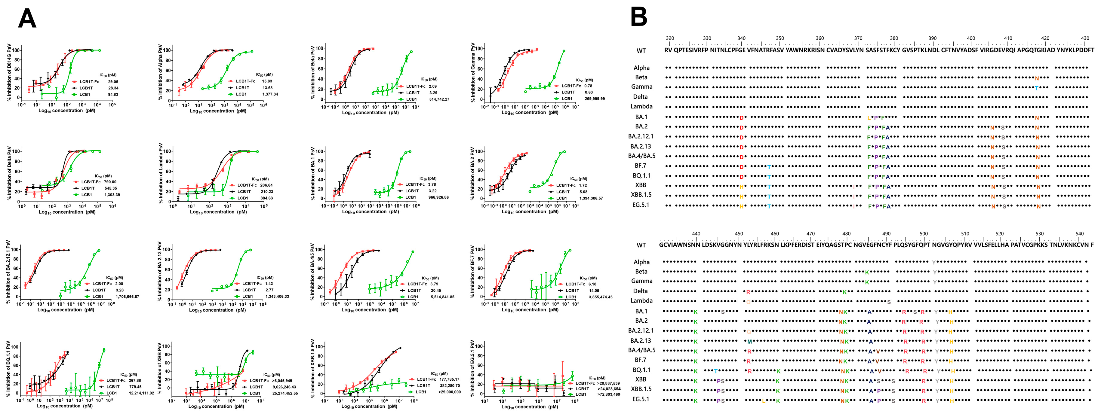 Viruses 16 00036 g002