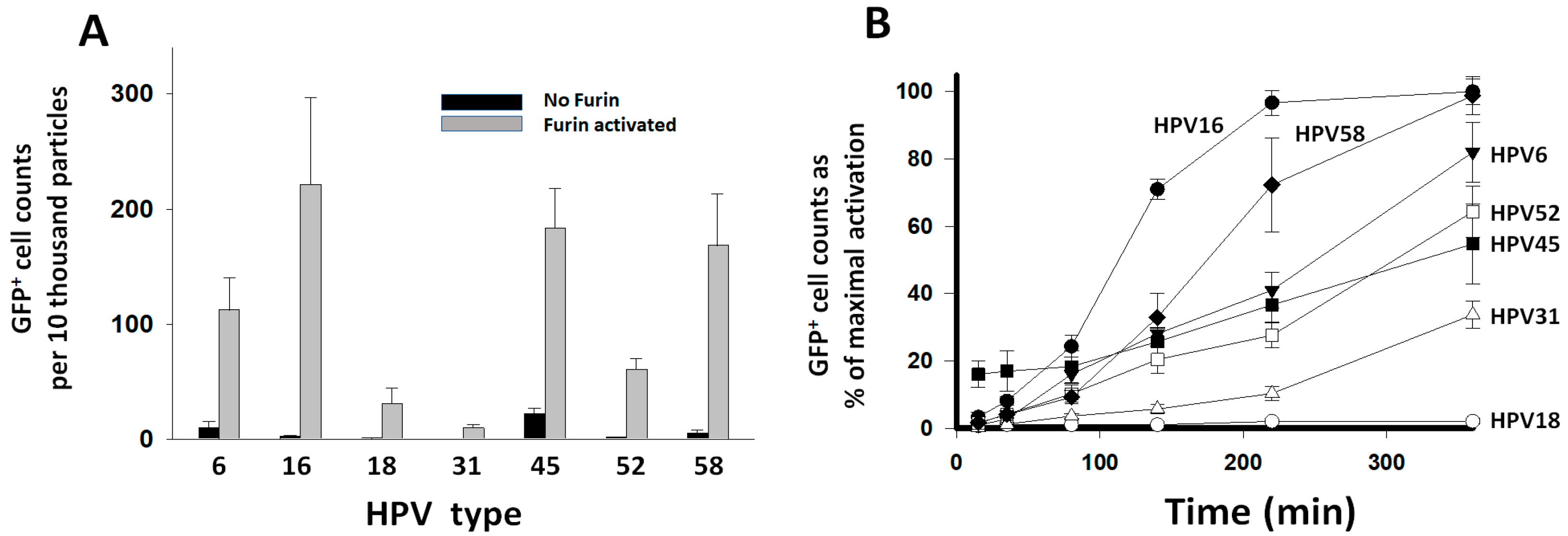 Viruses 16 00039 g003