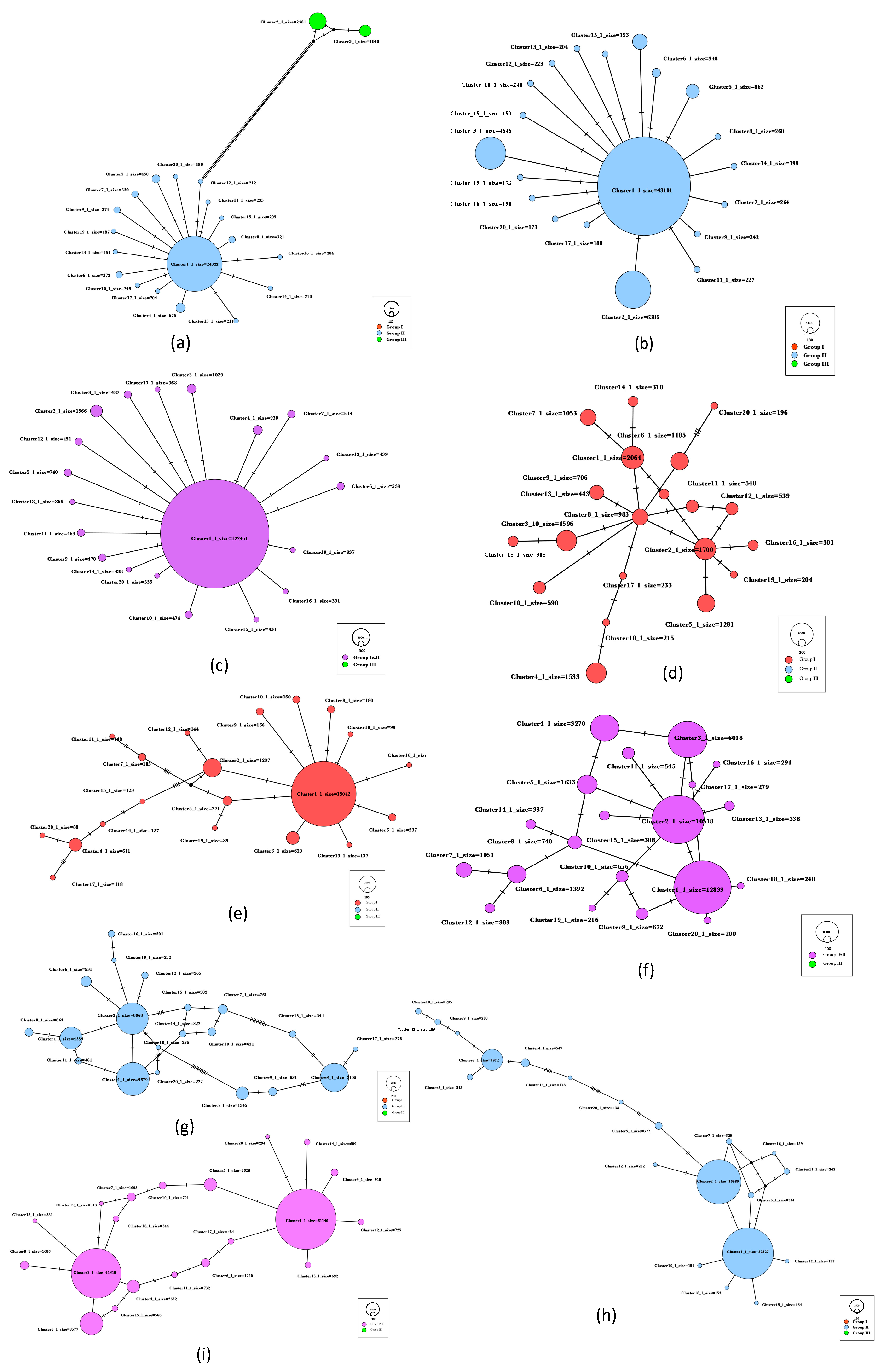 Viruses 16 00042 g001