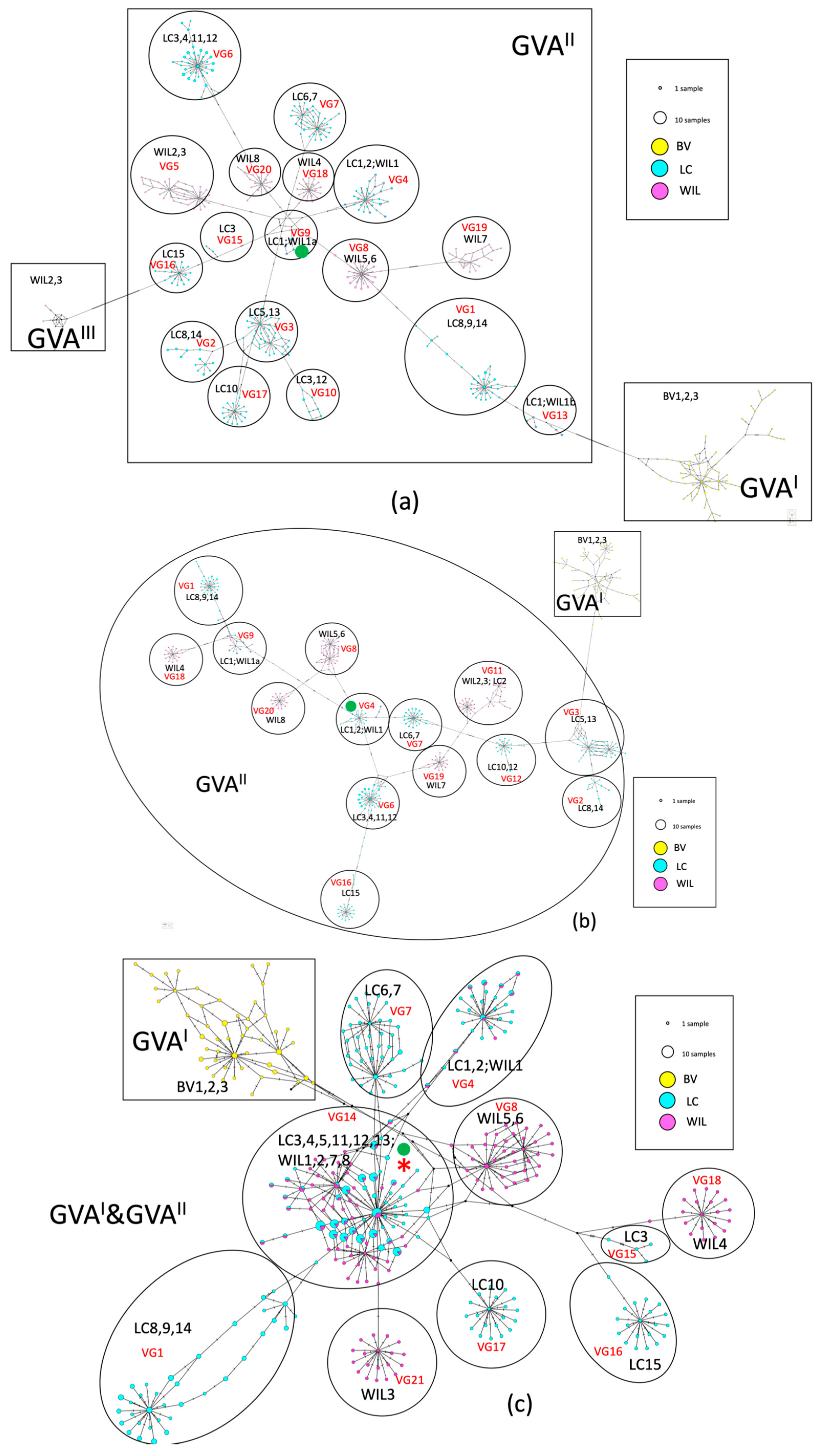 Viruses 16 00042 g002