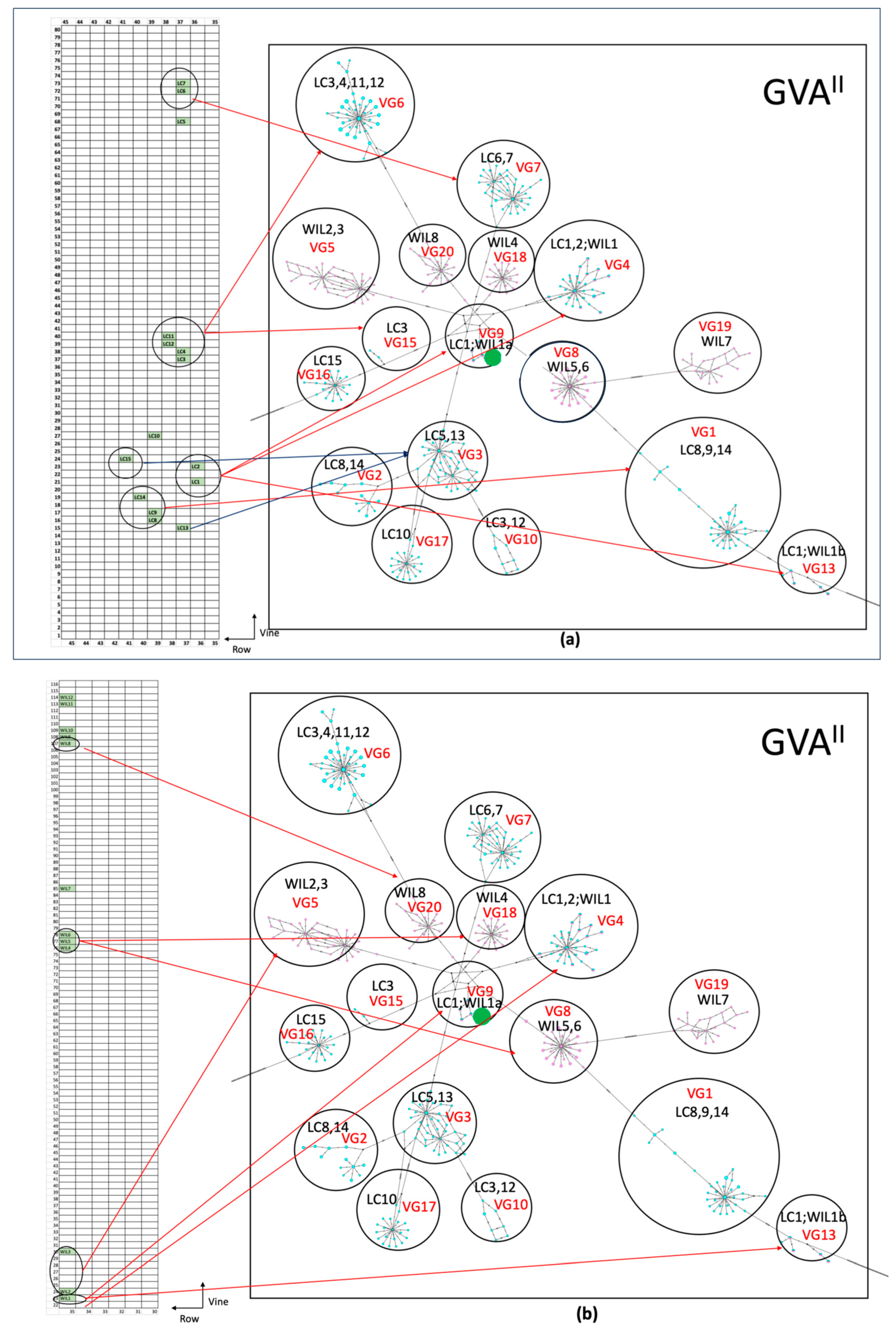 Viruses 16 00042 g003