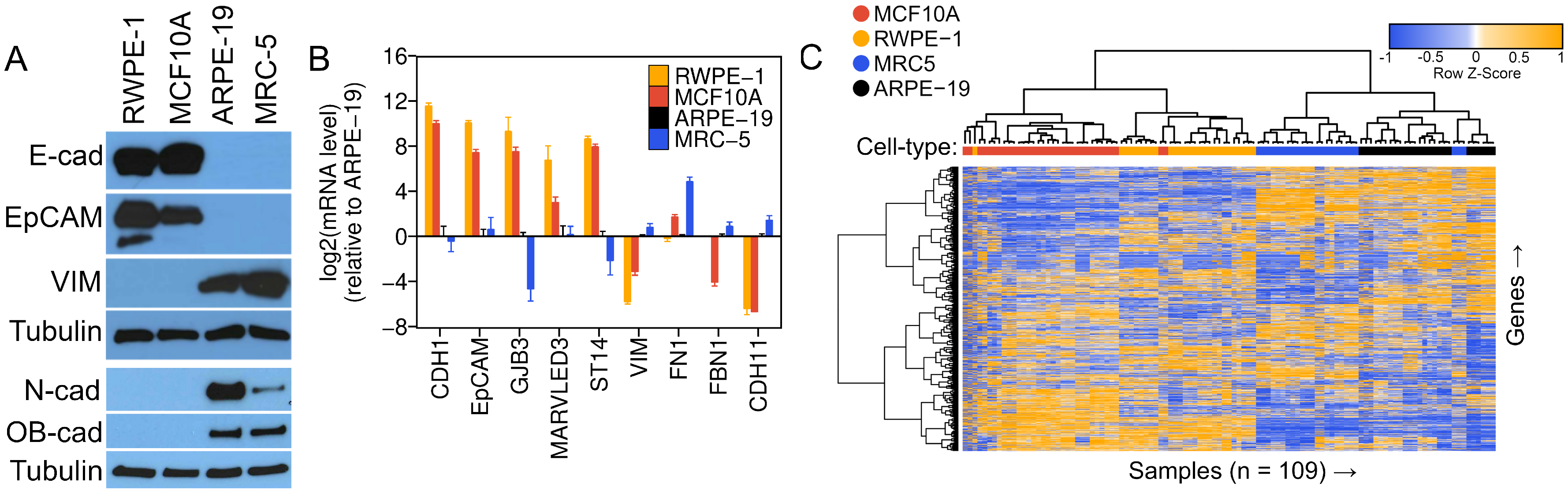 Viruses 16 00049 g001 Viruses 16 00049 g001