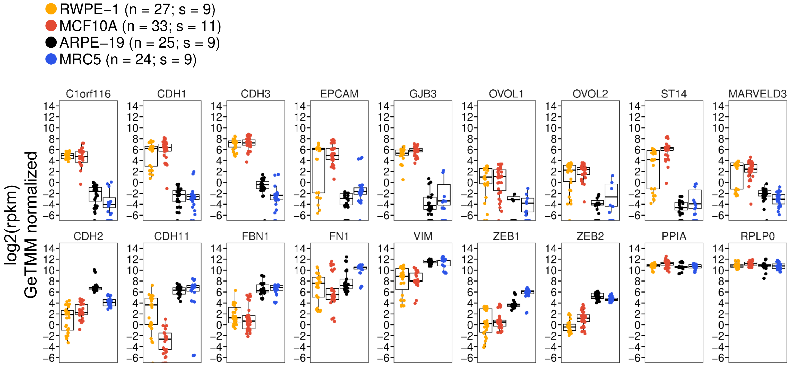 Viruses 16 00049 g002 Viruses 16 00049 g002