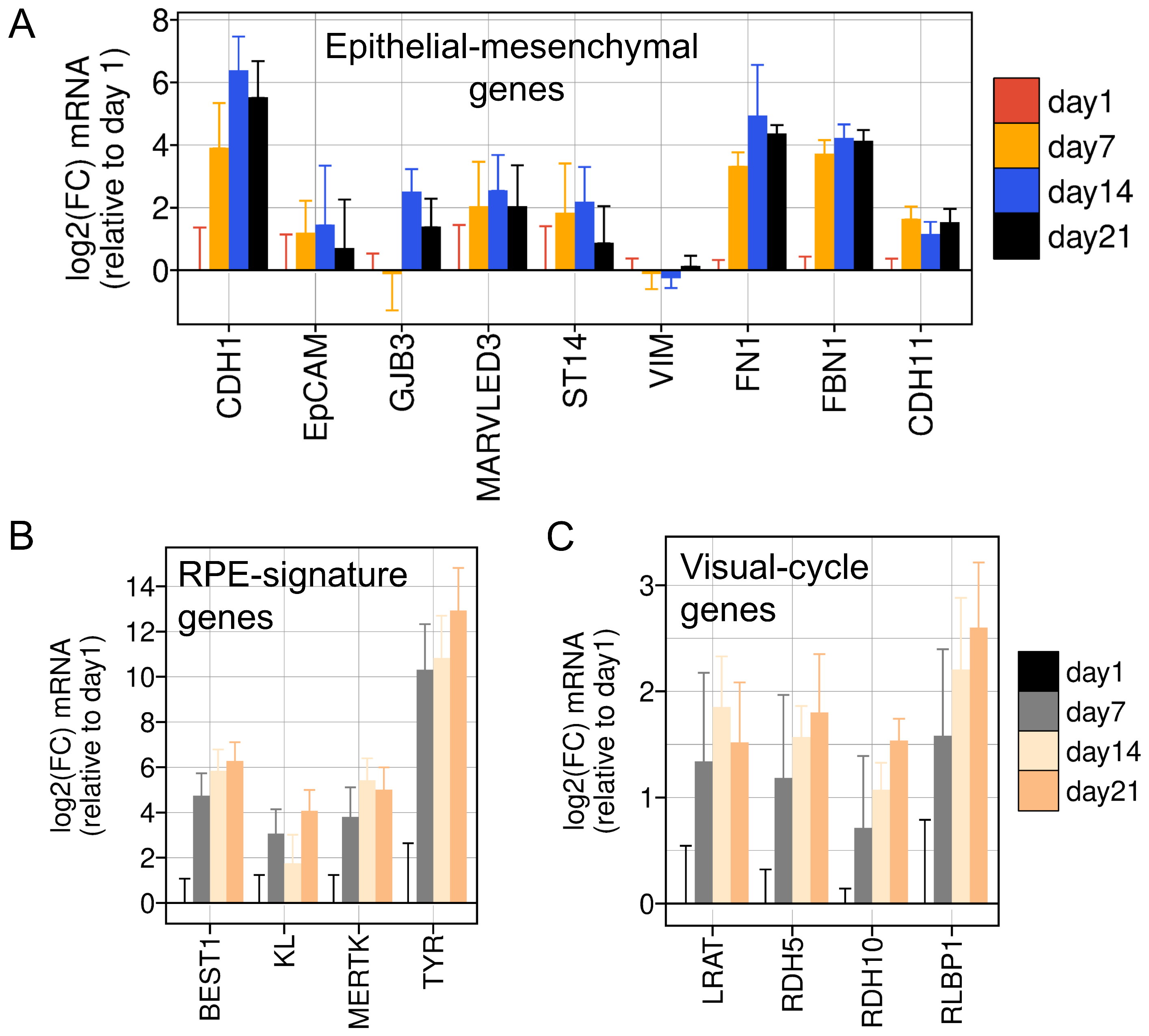 Viruses 16 00049 g005 Viruses 16 00049 g005