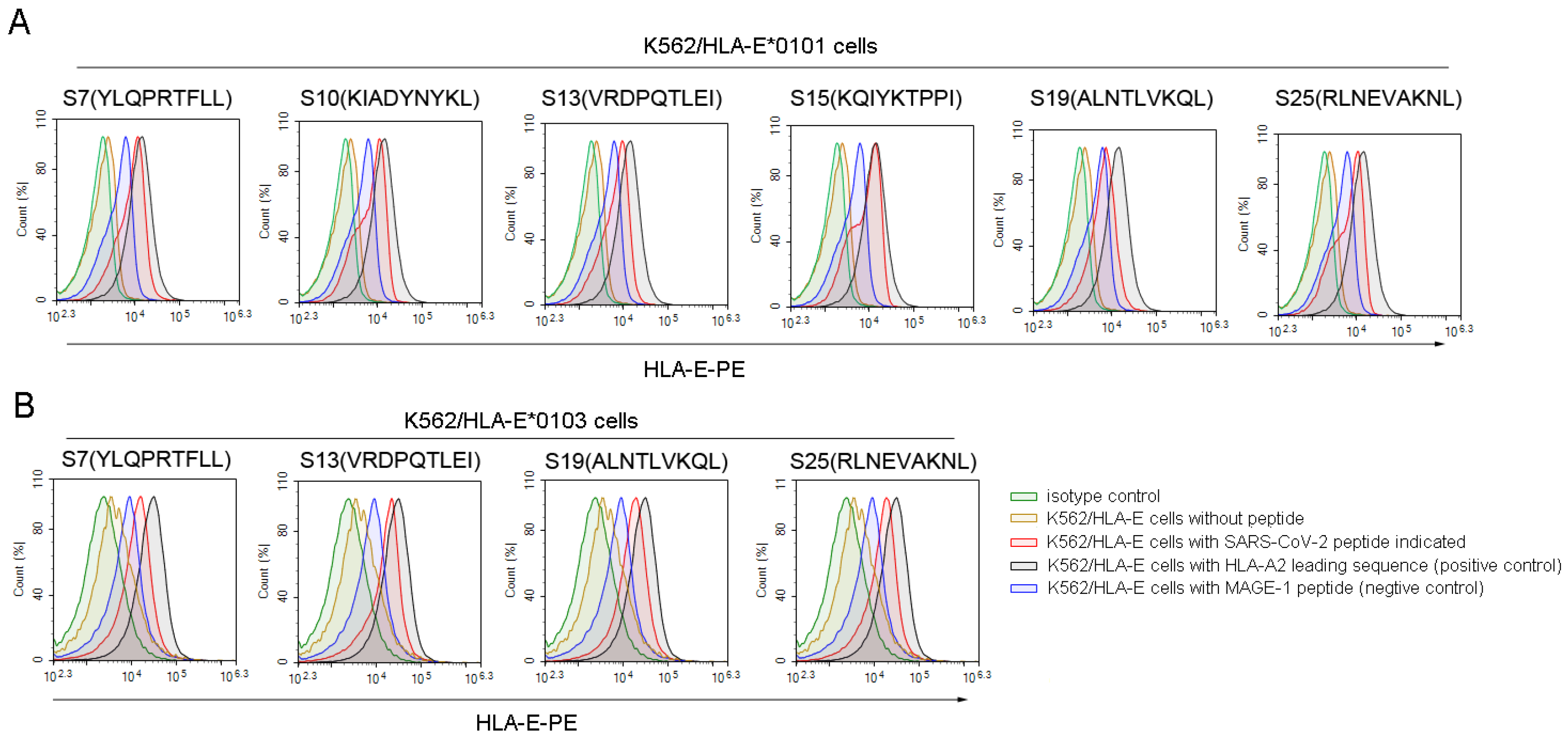 Viruses 16 00052 g001