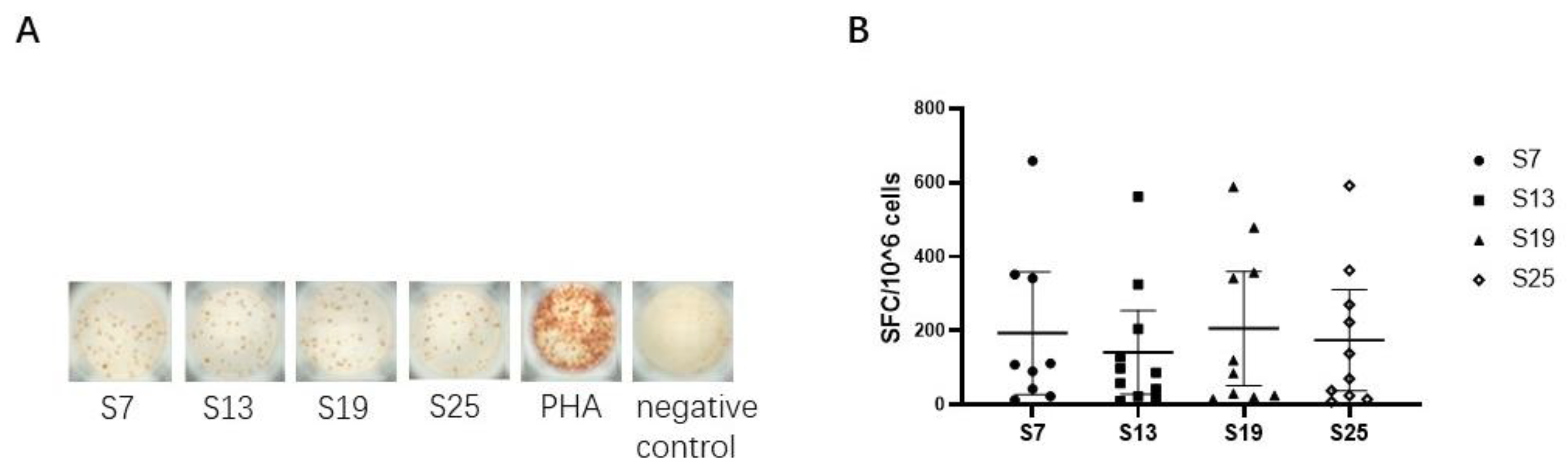 Viruses 16 00052 g002