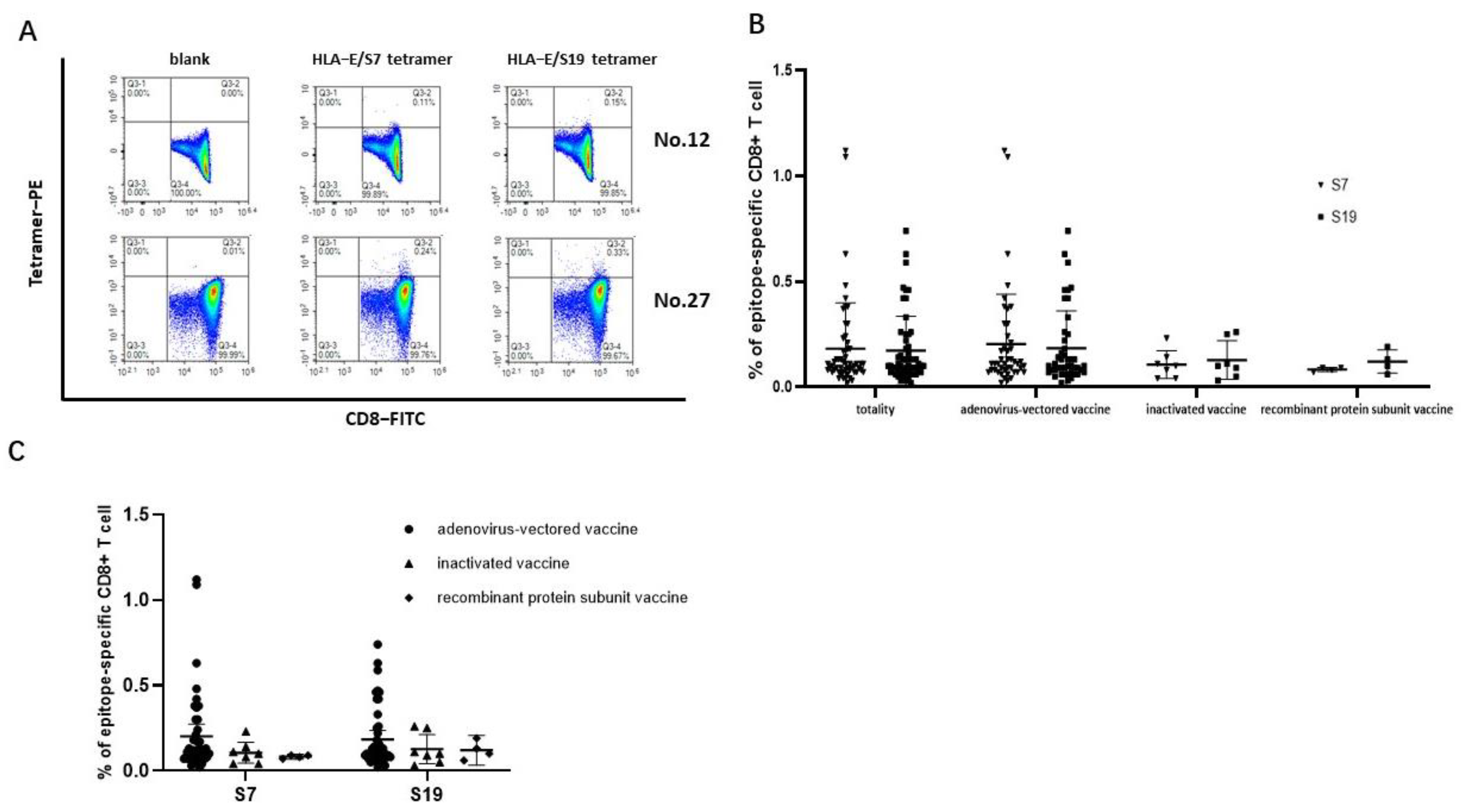 Viruses 16 00052 g003