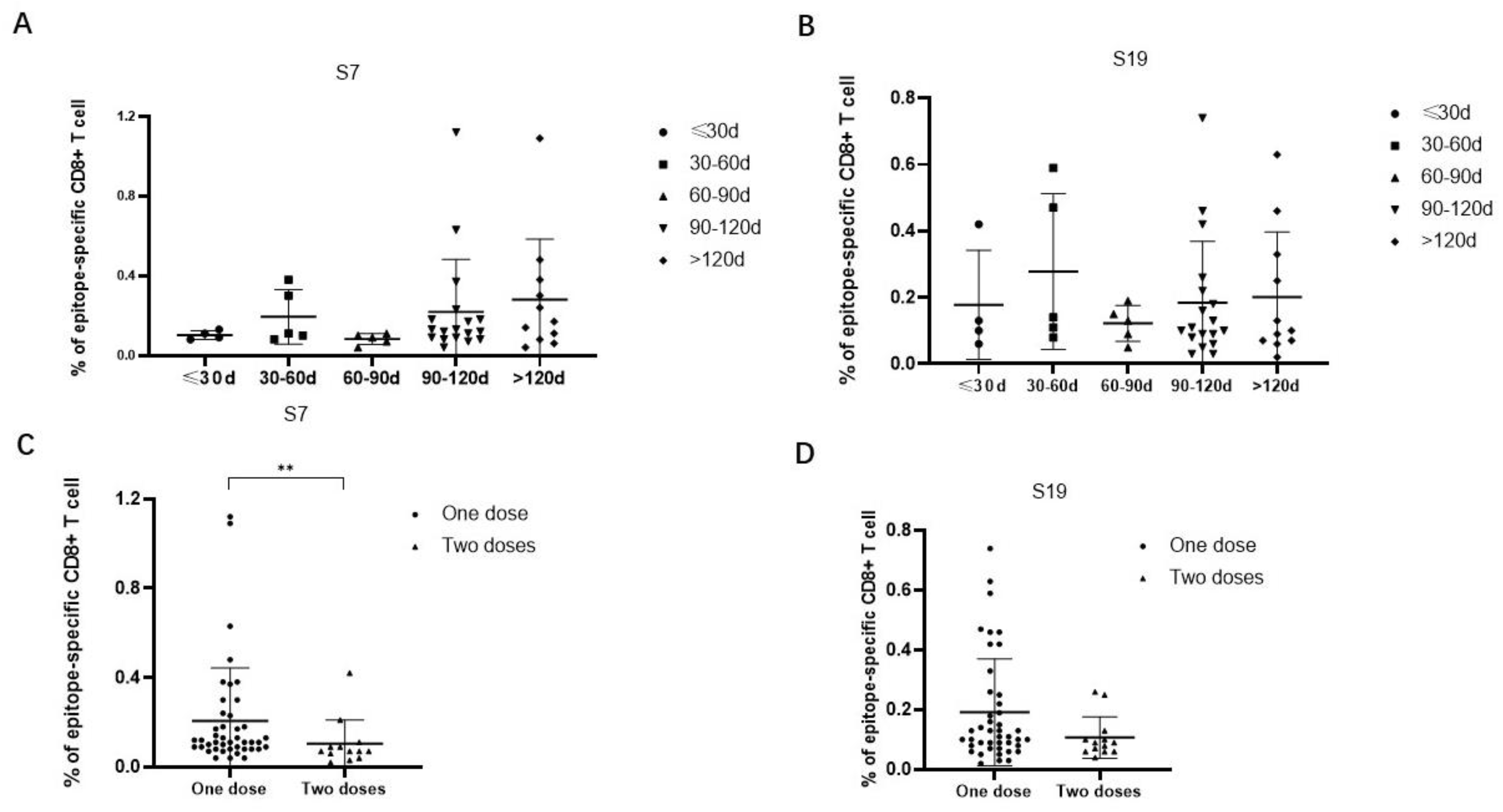 Viruses 16 00052 g004