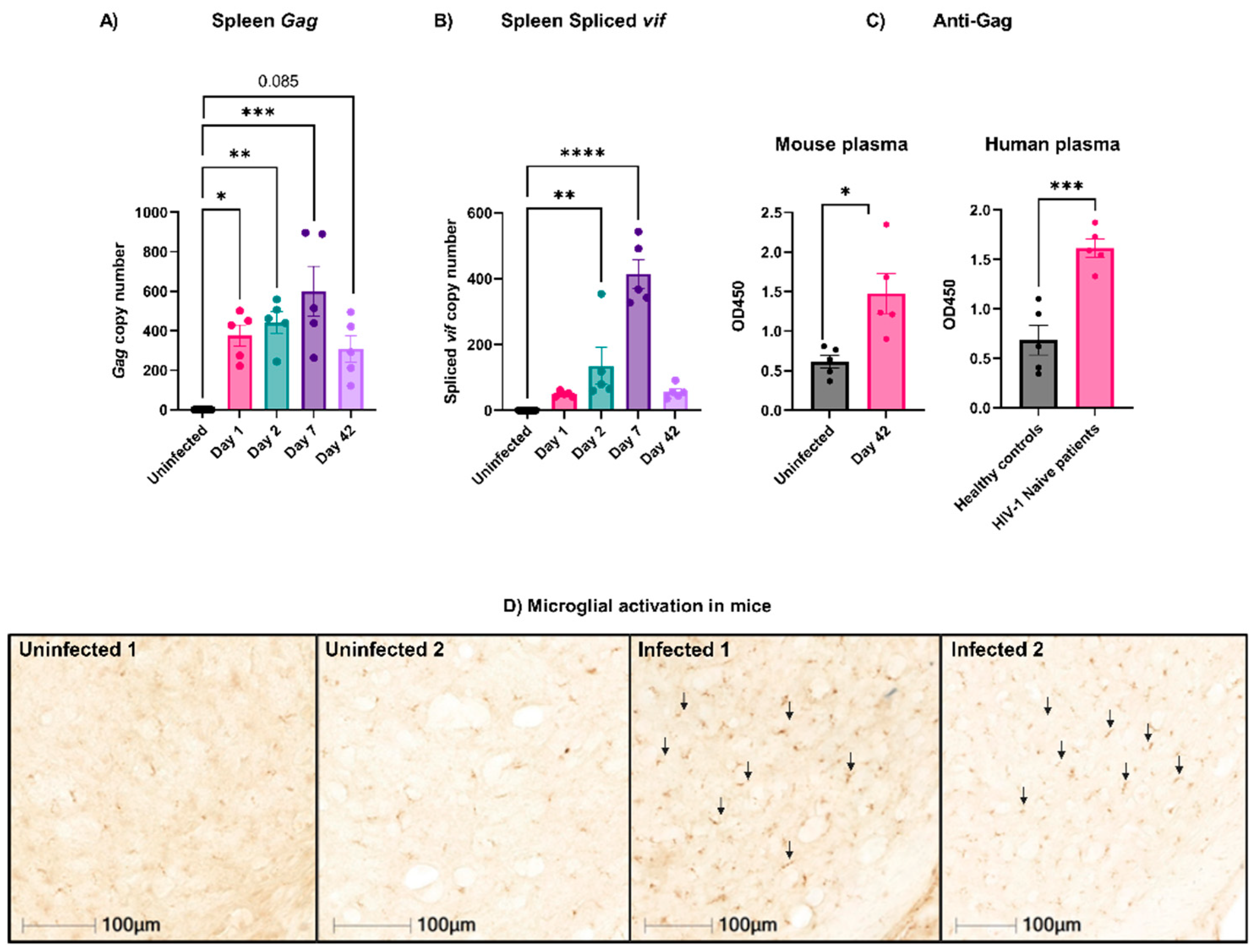 Viruses 16 00055 g001
