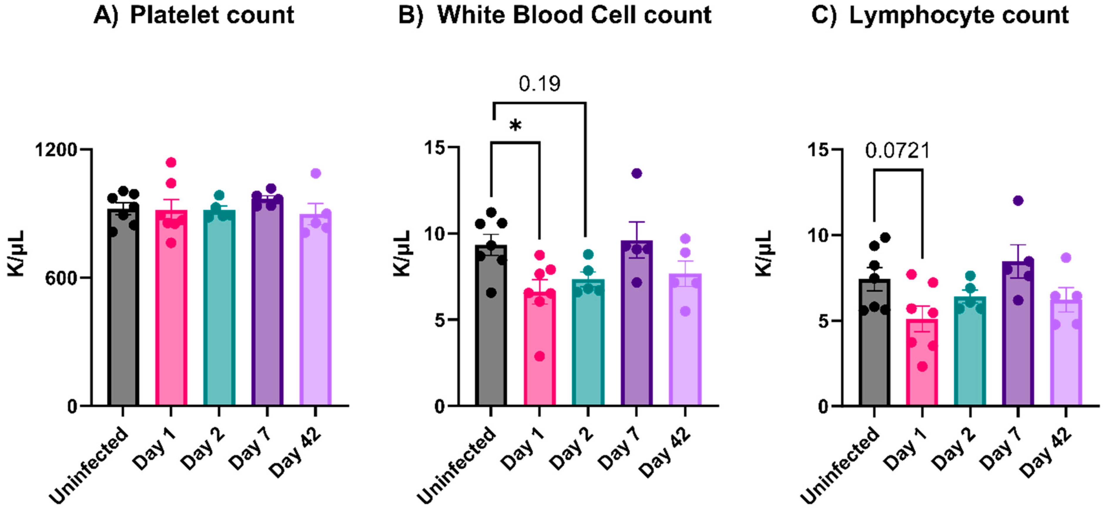 Viruses 16 00055 g003