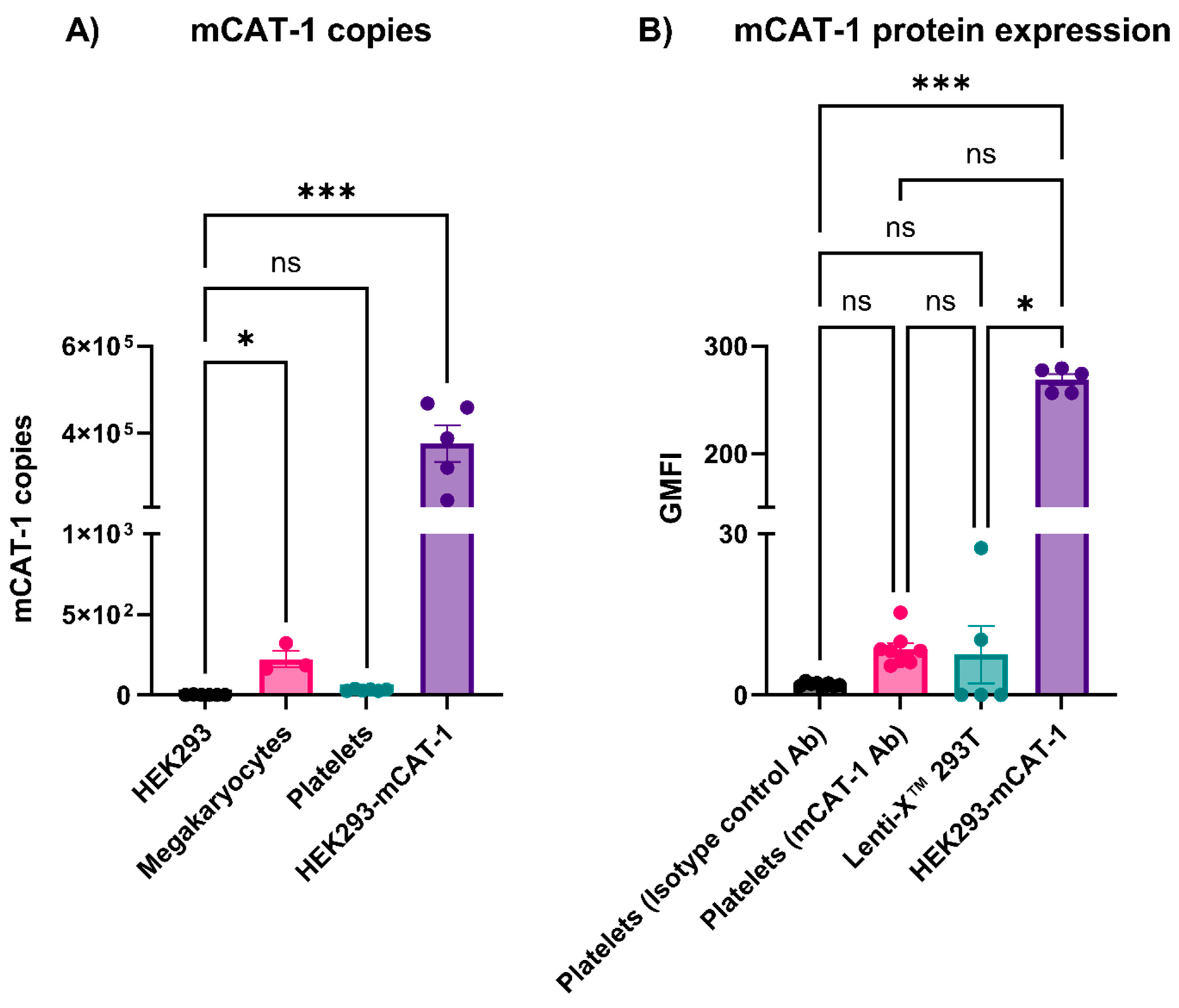 Viruses 16 00055 g006