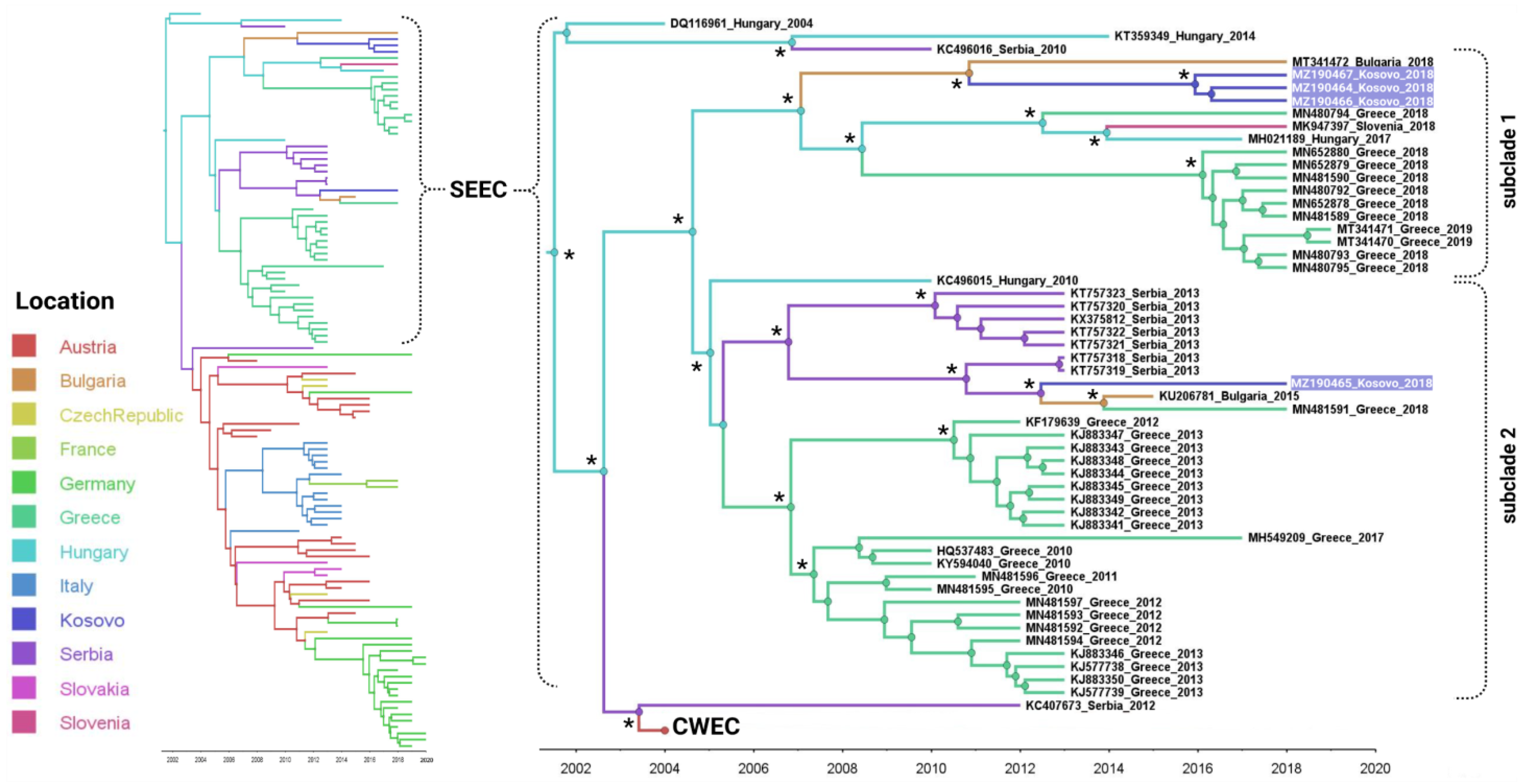 Viruses 16 00066 g002