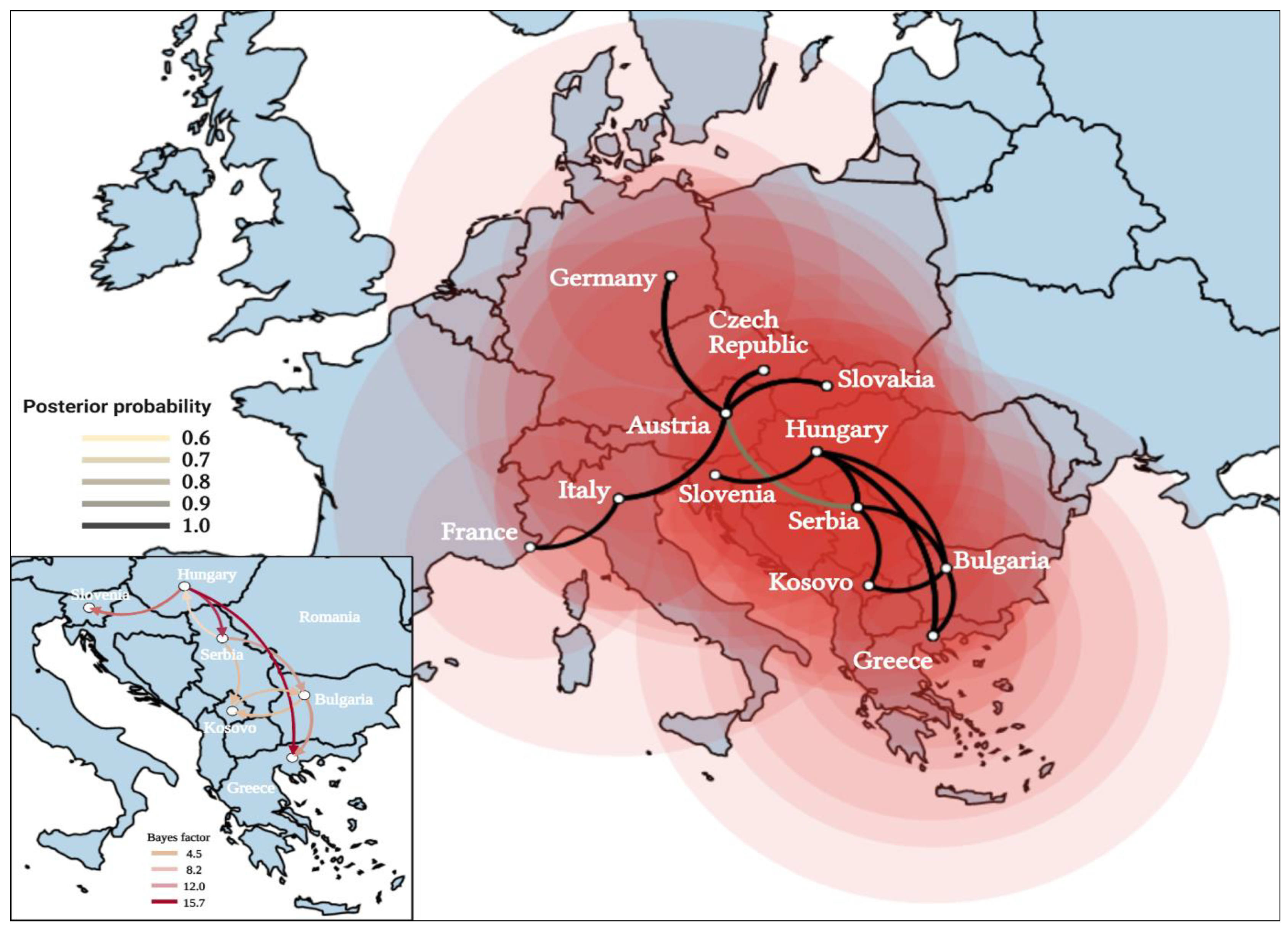 Viruses 16 00066 g003