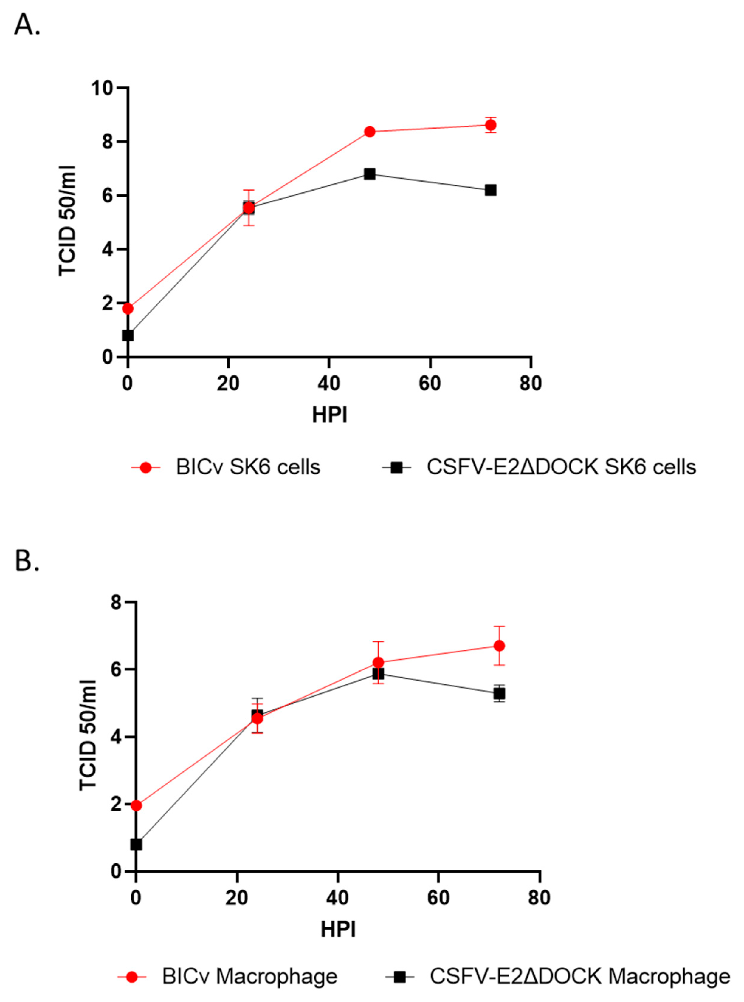 Viruses 16 00070 g003