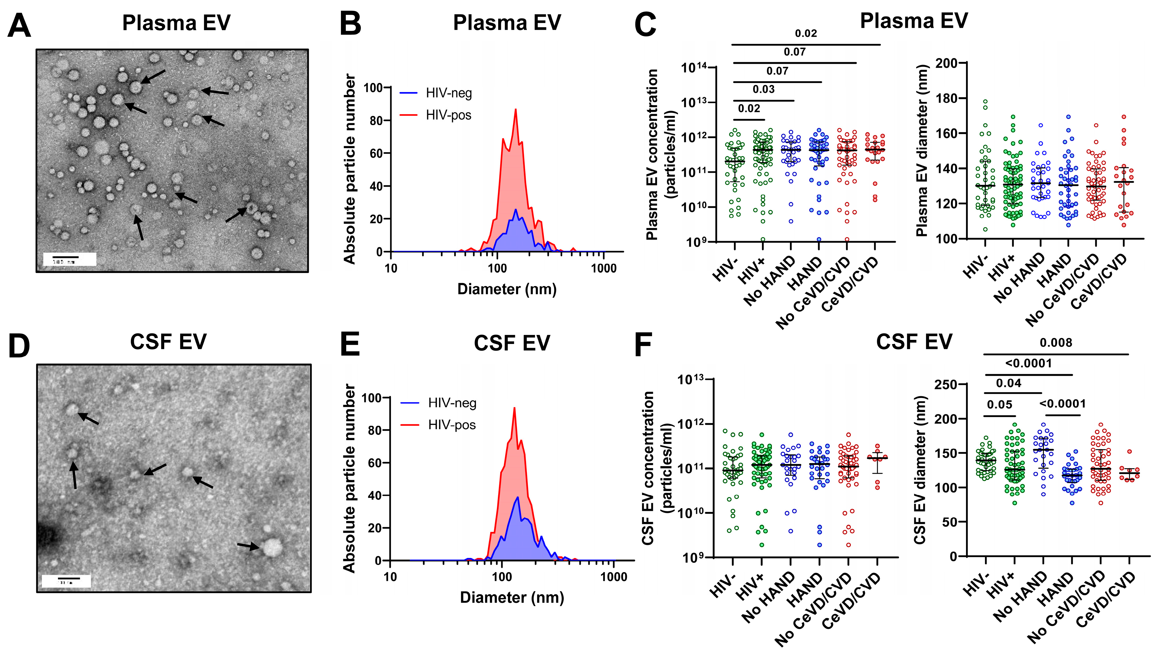 Viruses 16 00072 g001