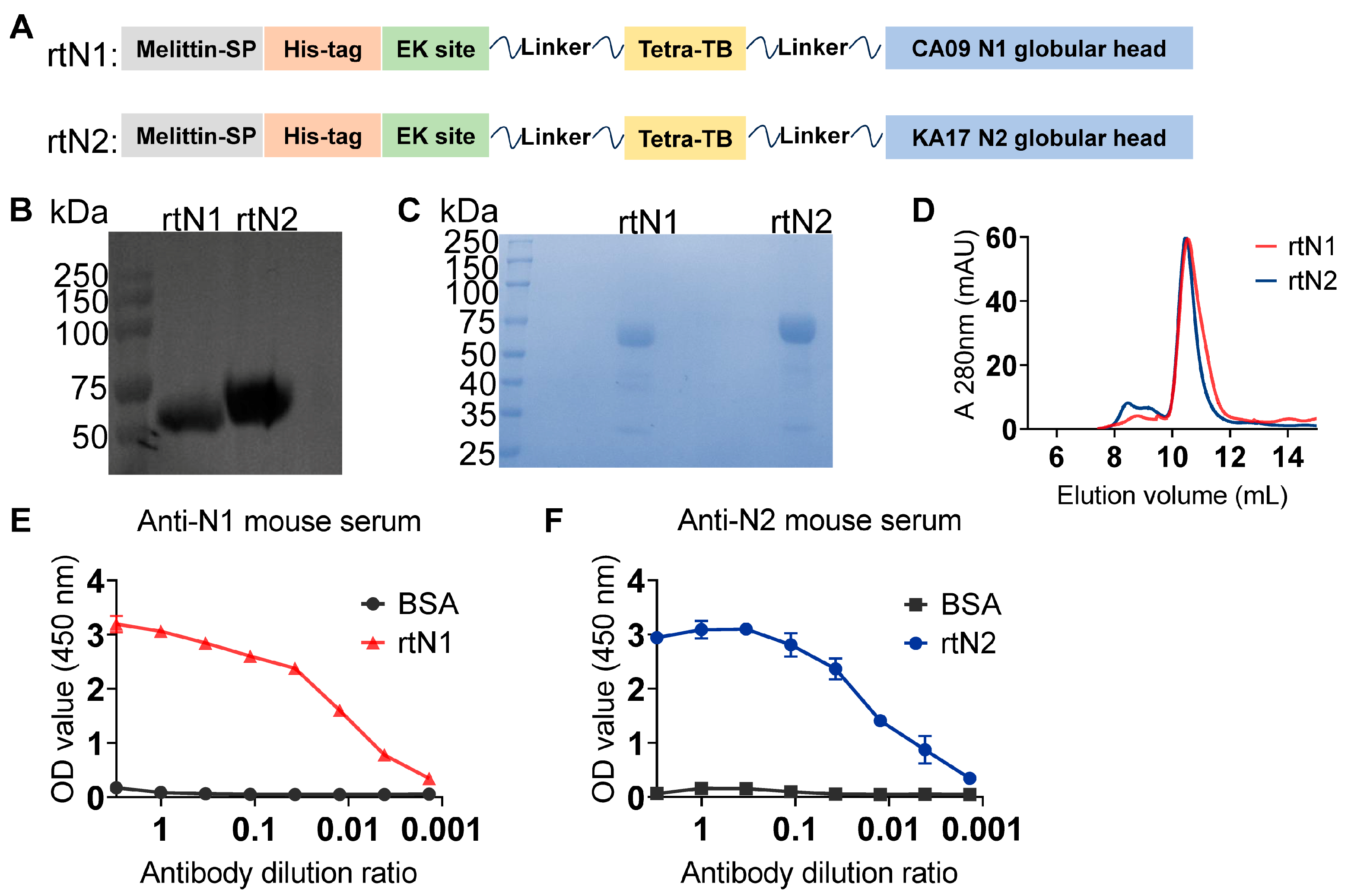 Viruses 16 00077 g001