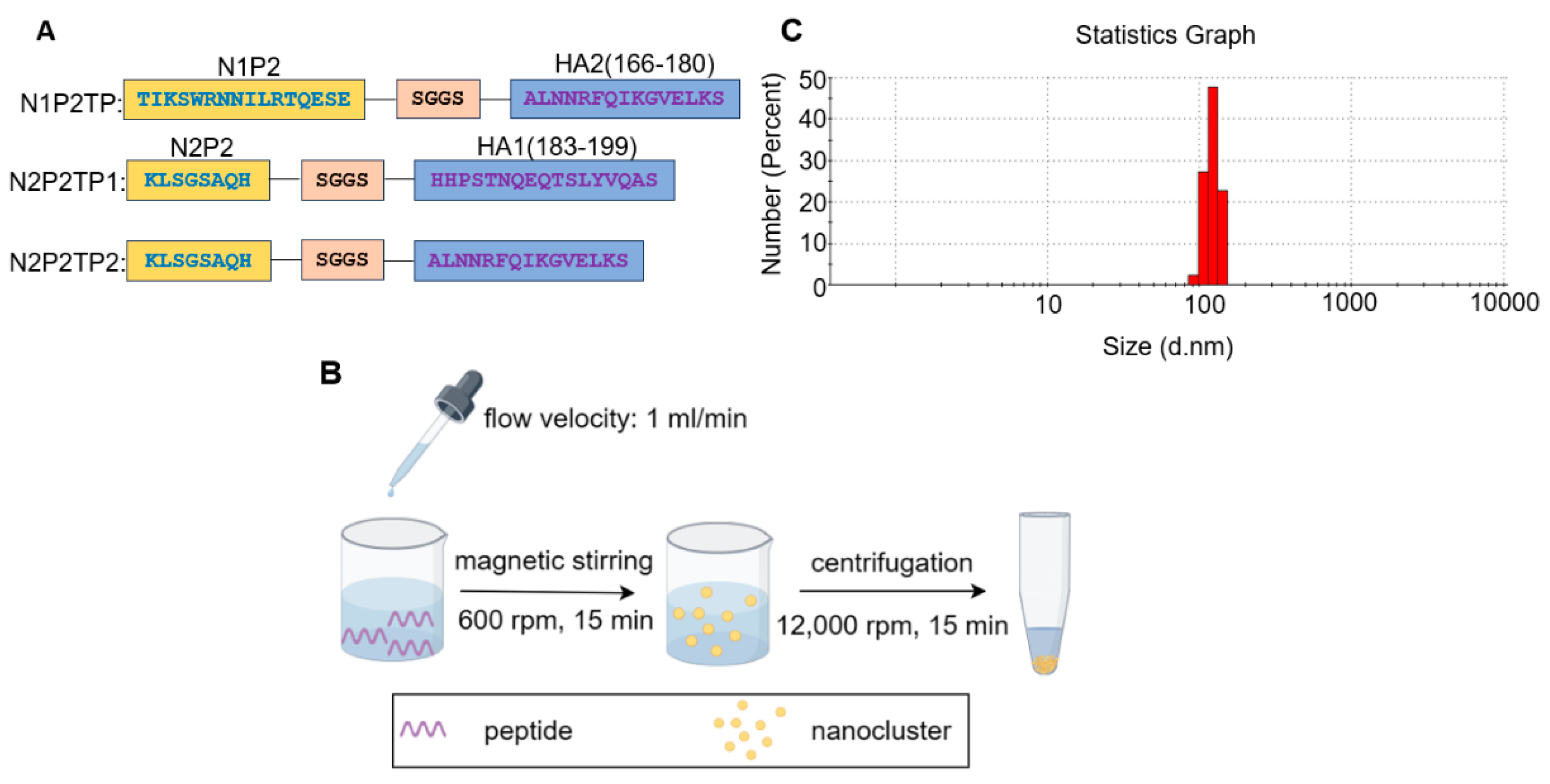 Viruses 16 00077 g002