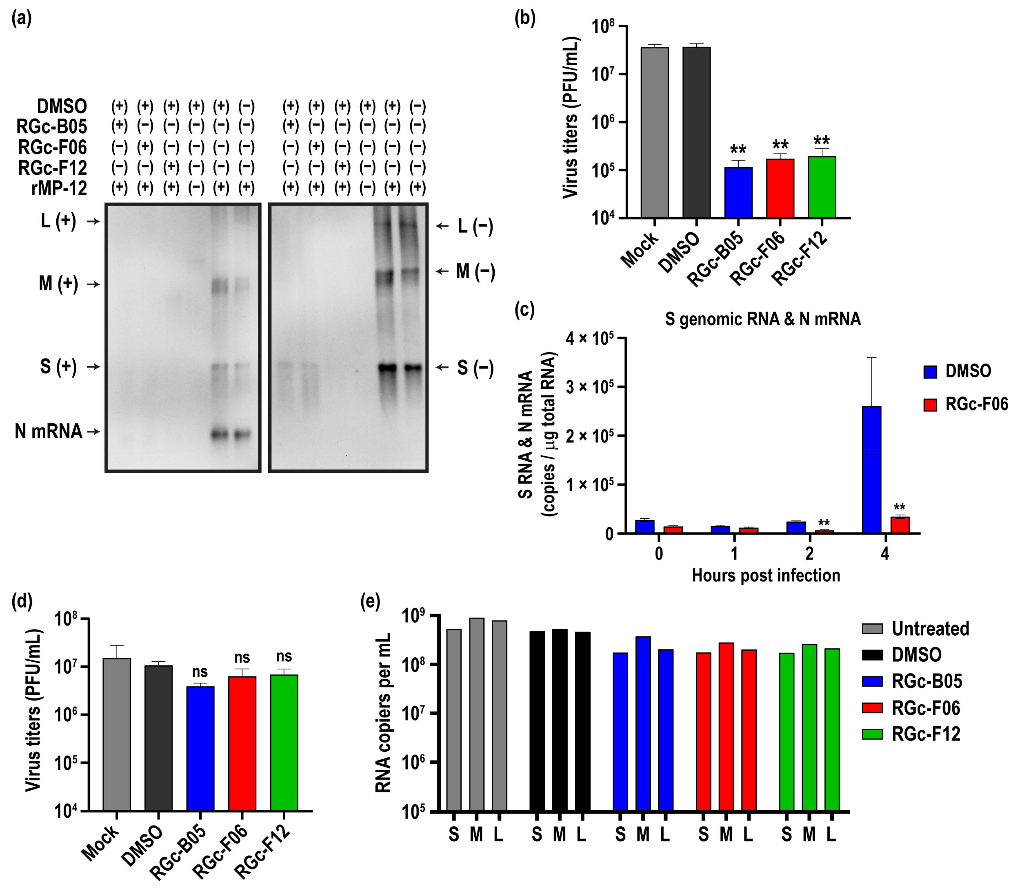 Viruses 16 00088 g003 Viruses 16 00088 g003