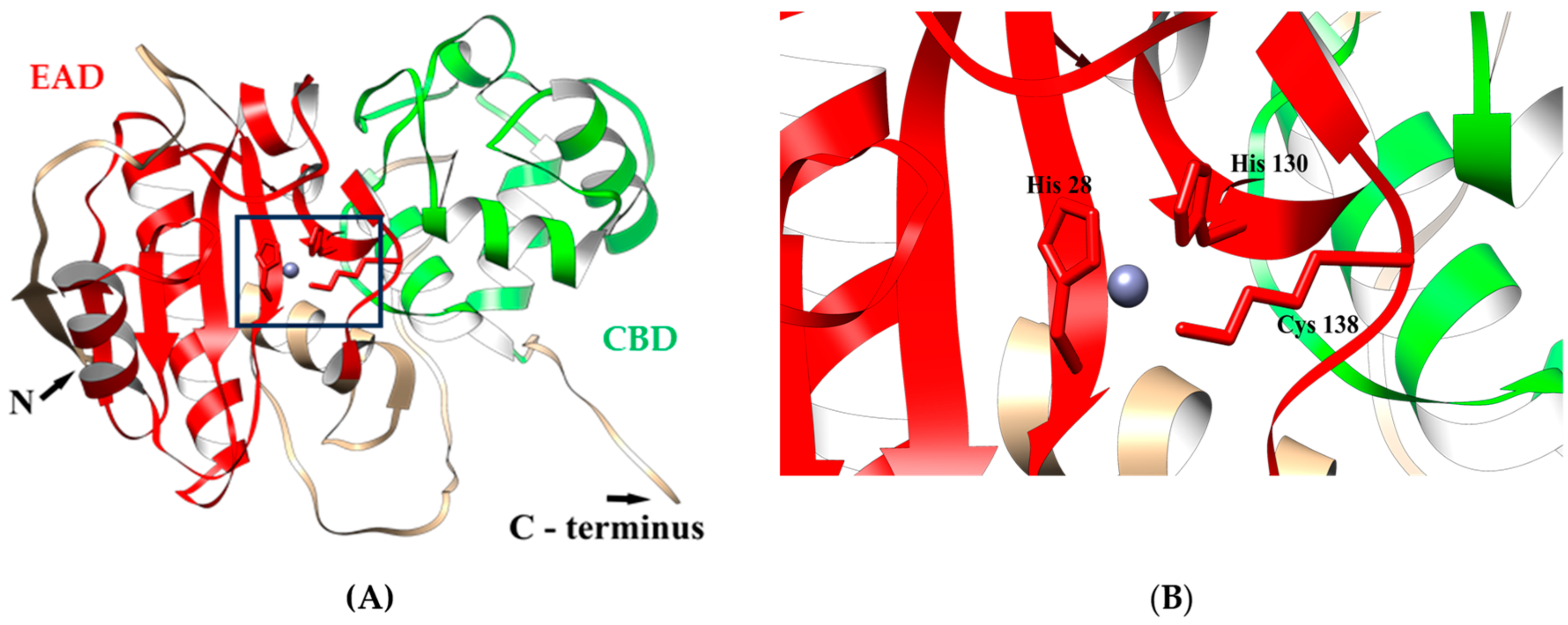 Viruses 16 00093 g001