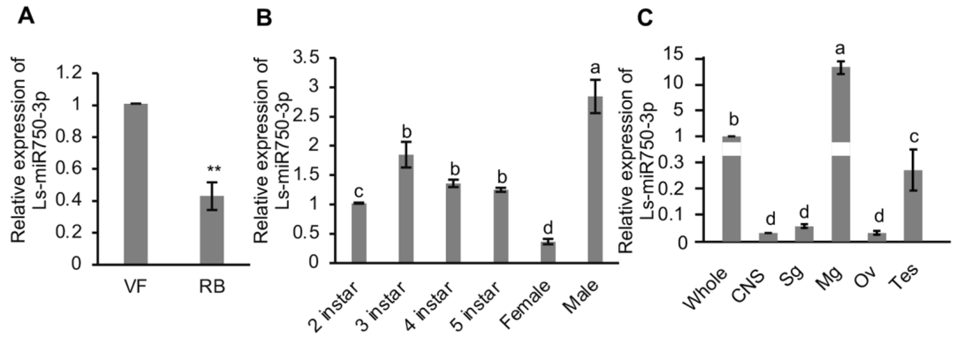 Viruses 16 00097 g001