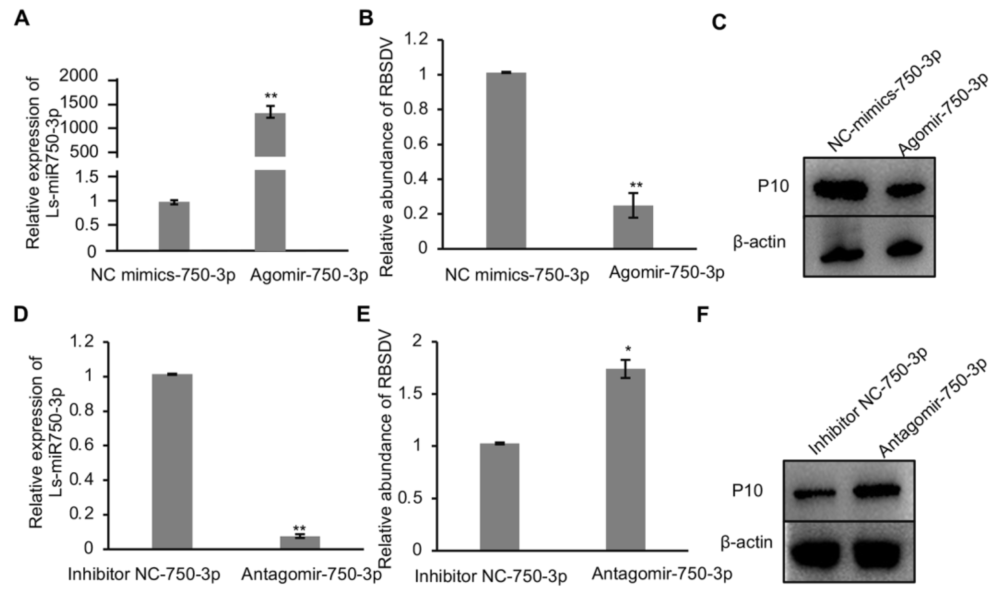 Viruses 16 00097 g002