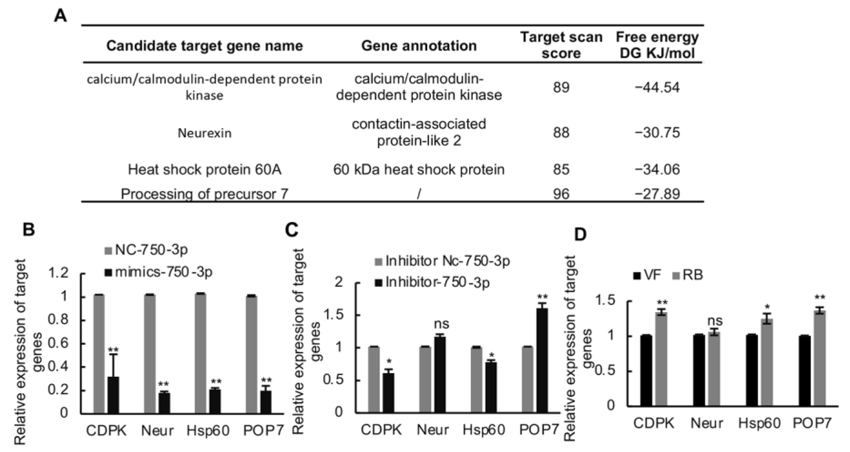 Viruses 16 00097 g003