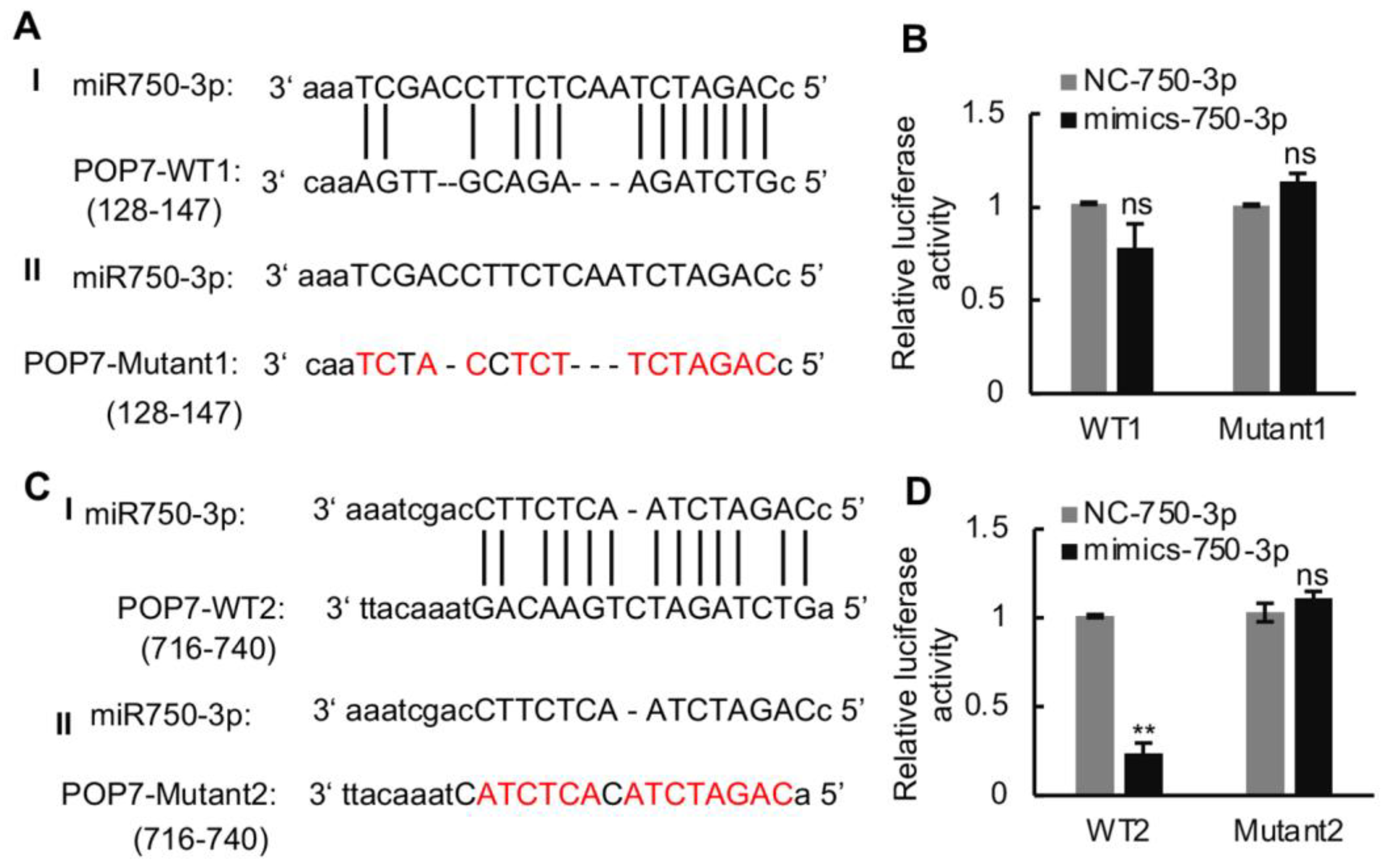 Viruses 16 00097 g004