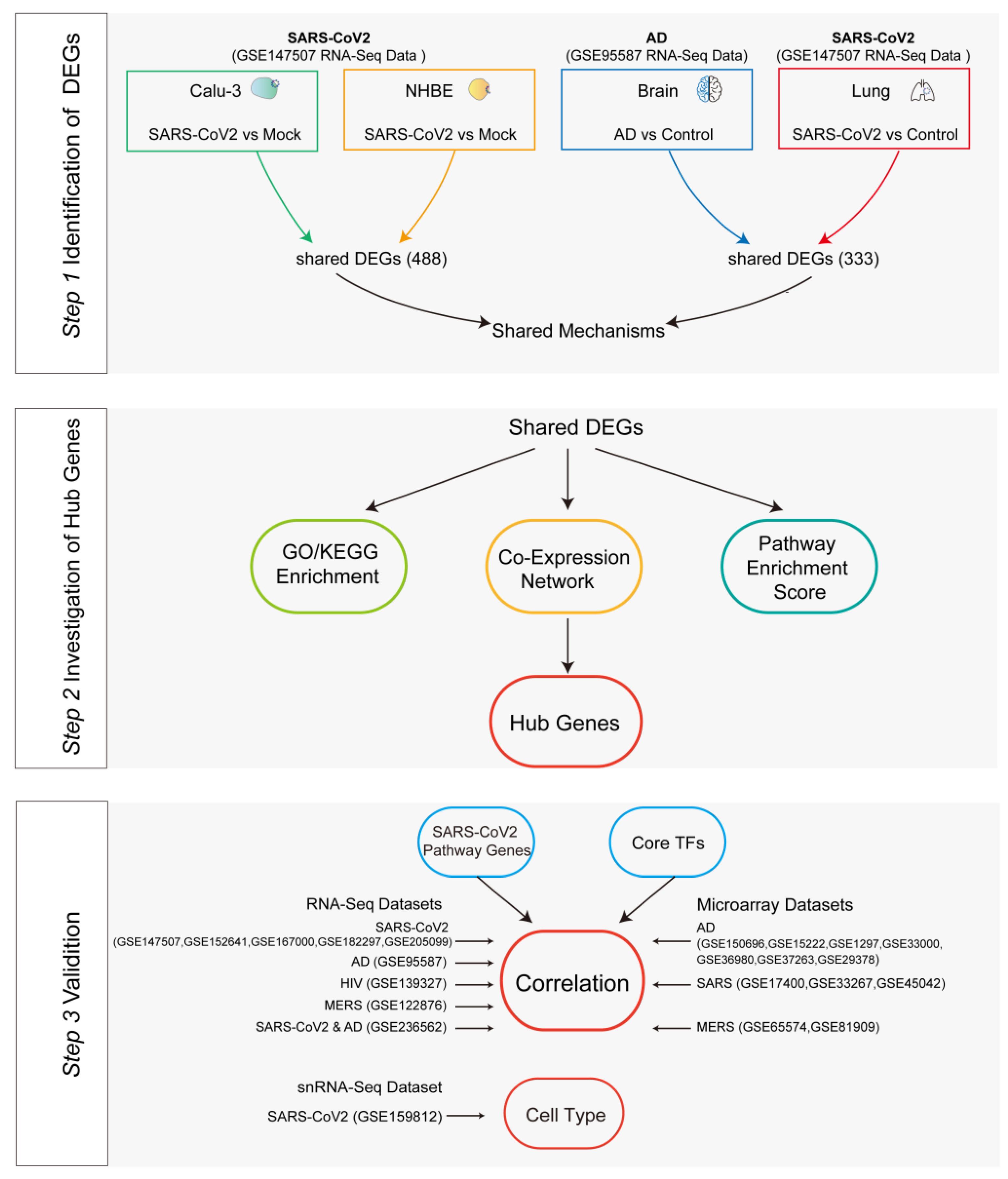 Viruses 16 00100 g001