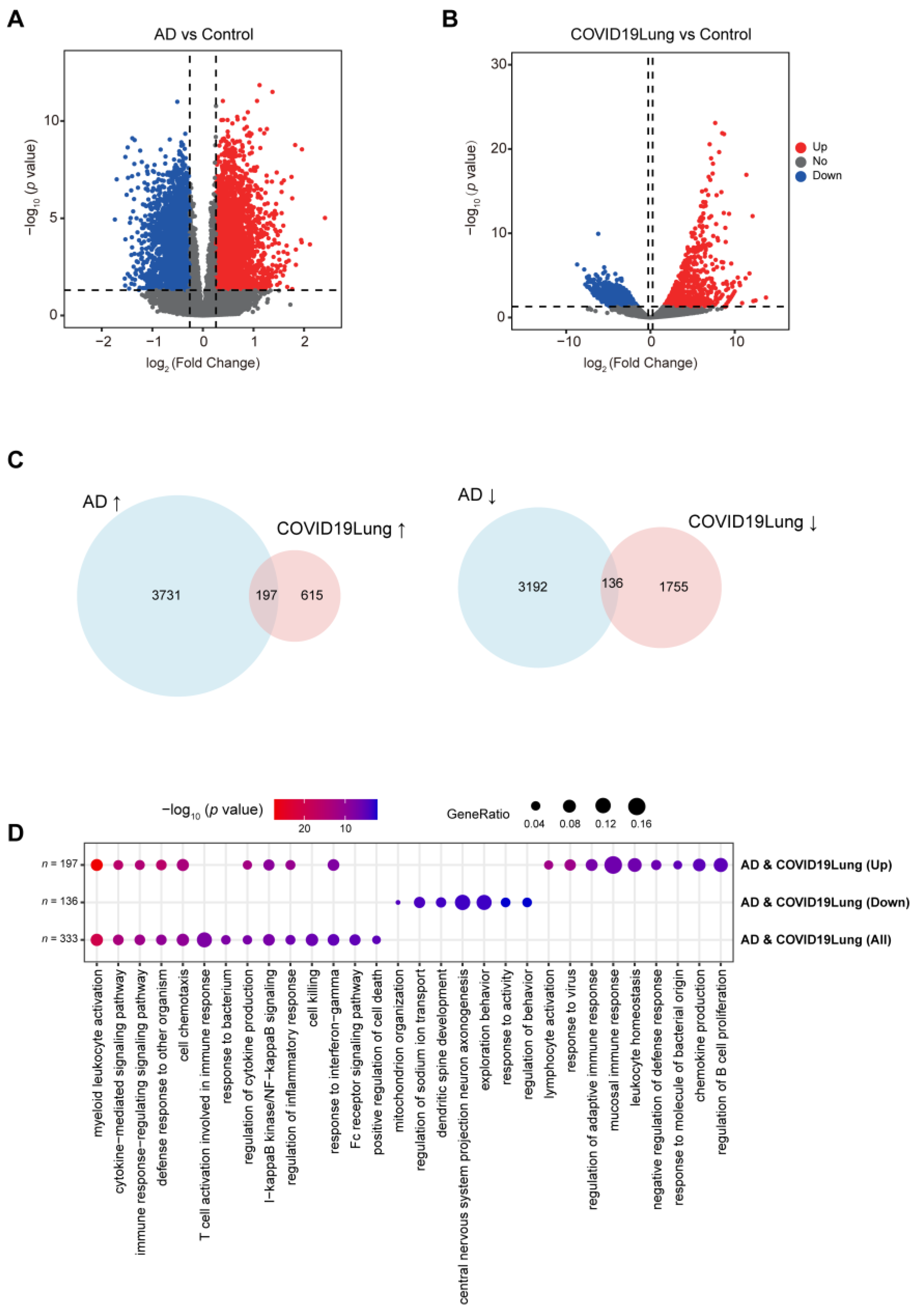 Viruses 16 00100 g002