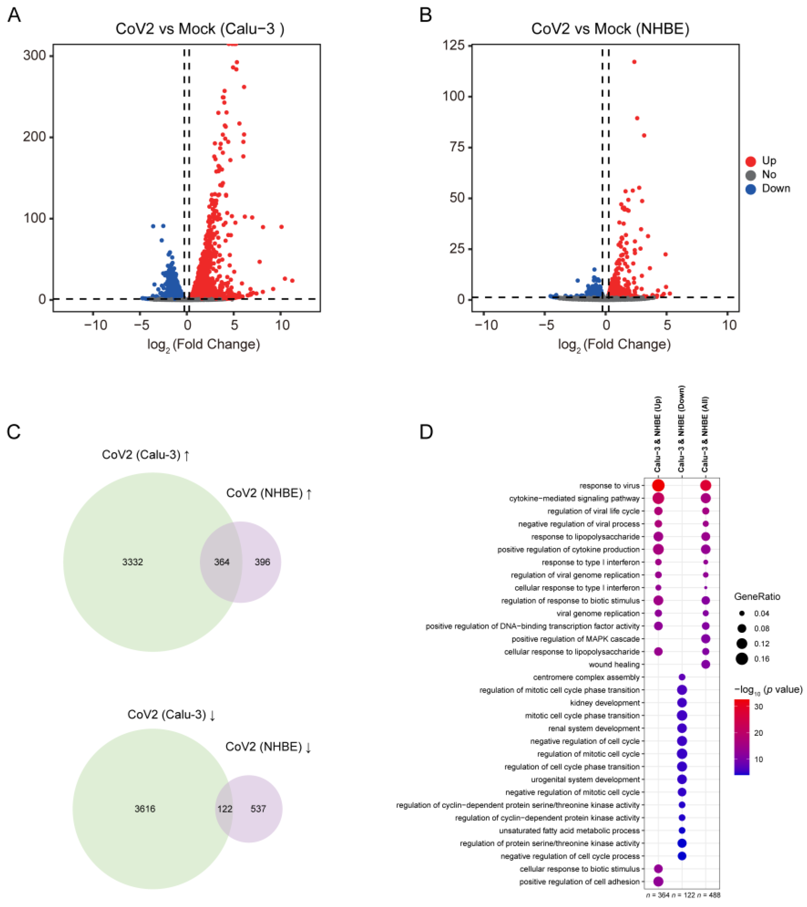 Viruses 16 00100 g003