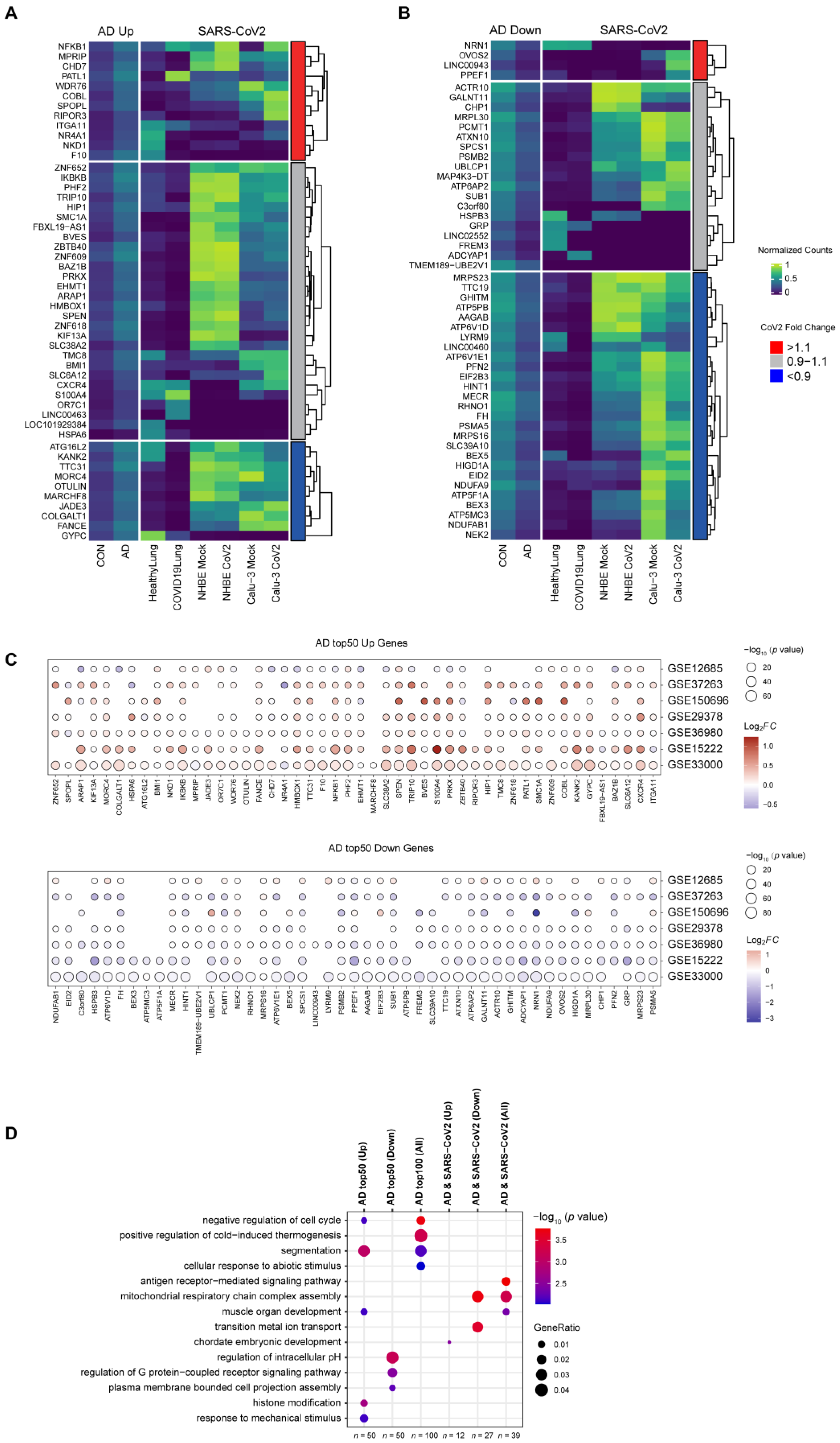 Viruses 16 00100 g004