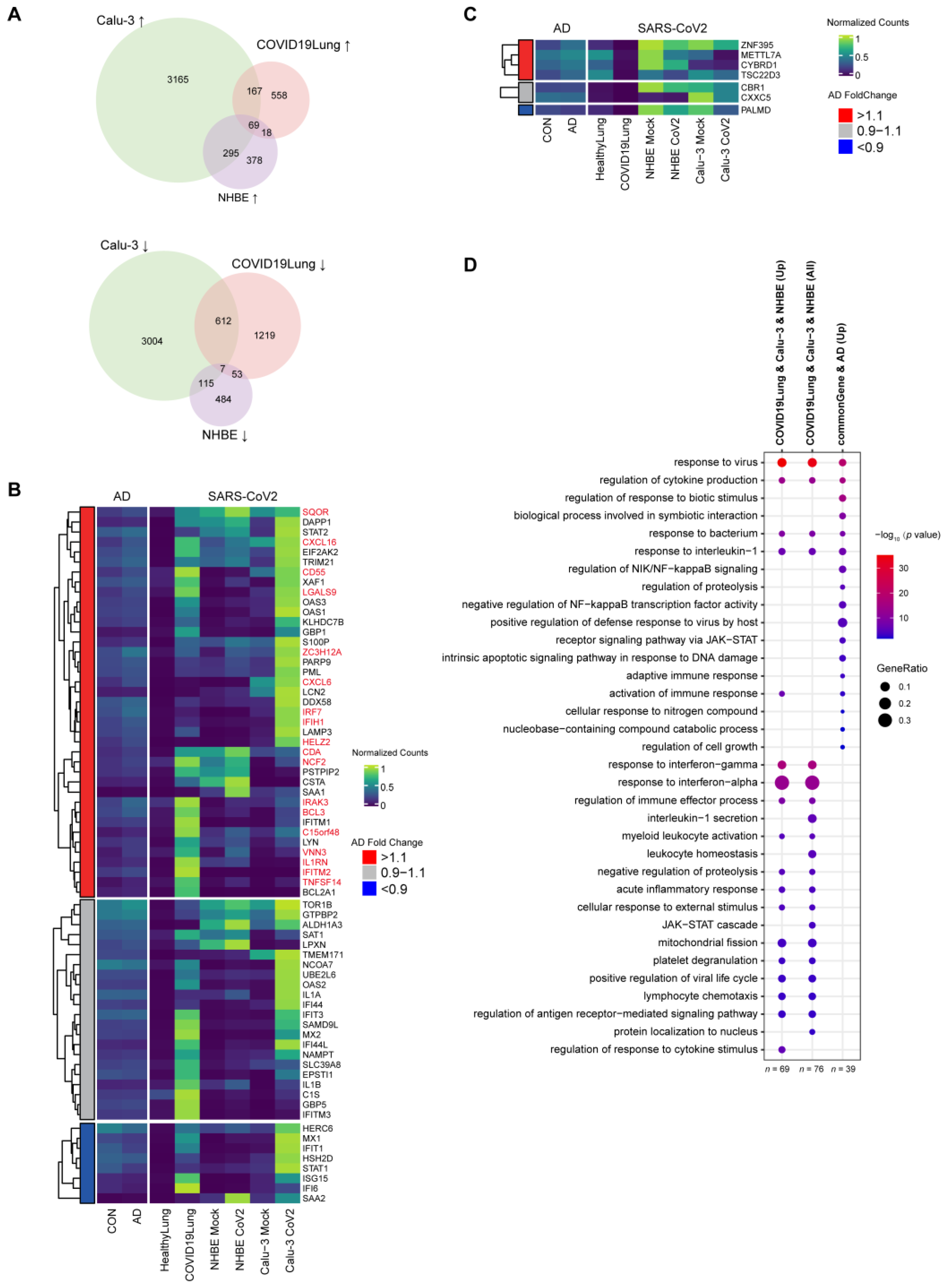 Viruses 16 00100 g005