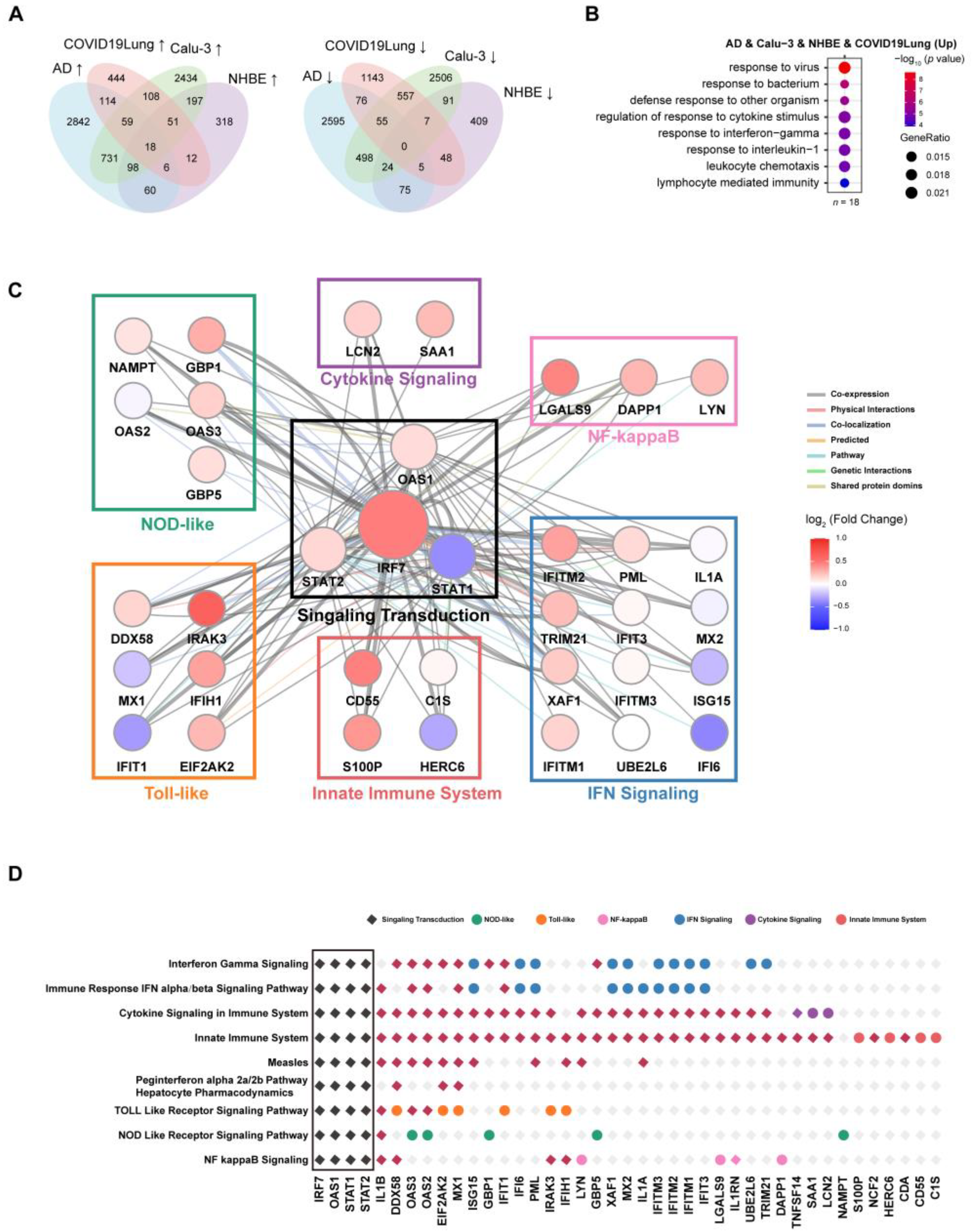 Viruses 16 00100 g006