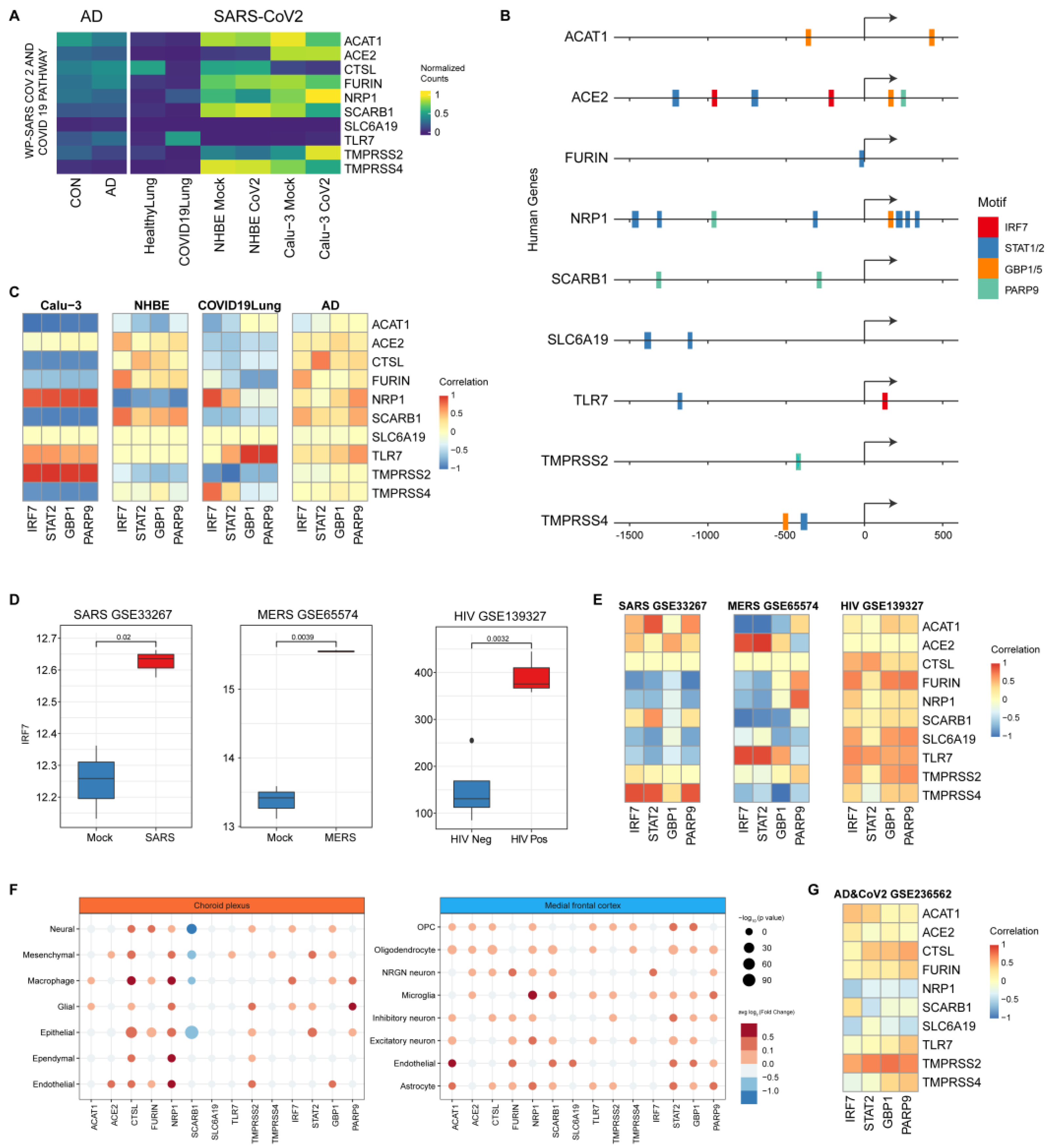 Viruses 16 00100 g007