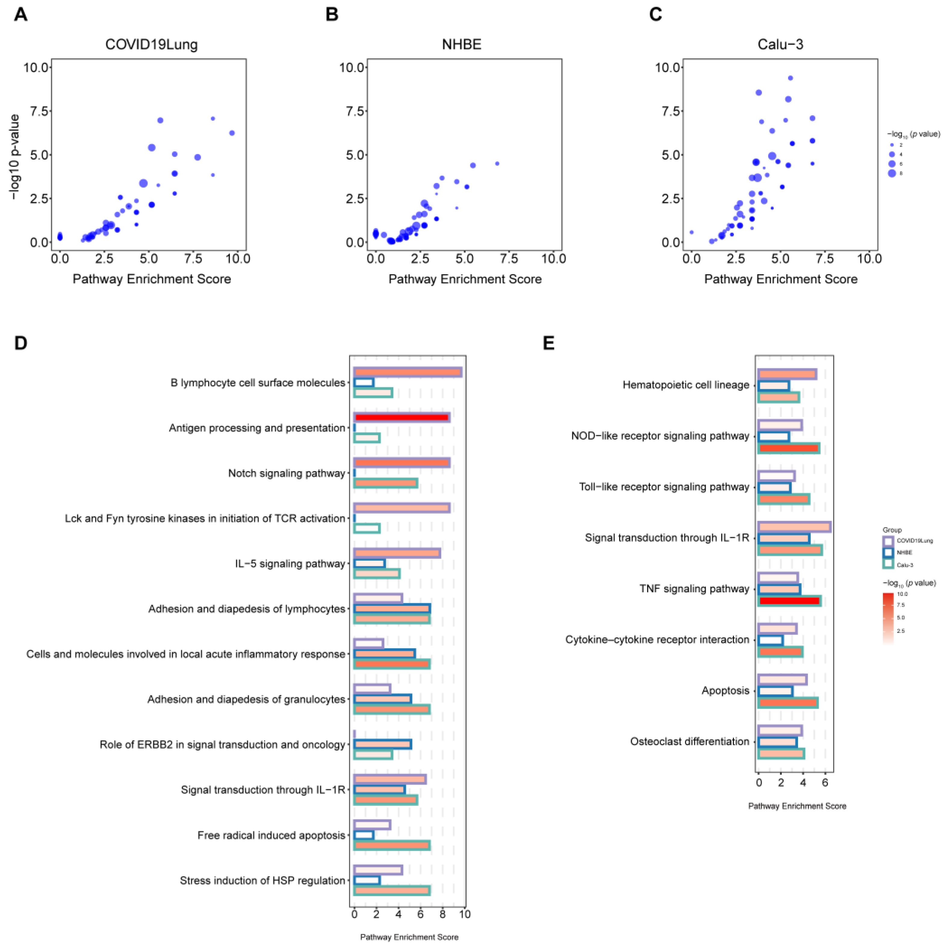 Viruses 16 00100 g008