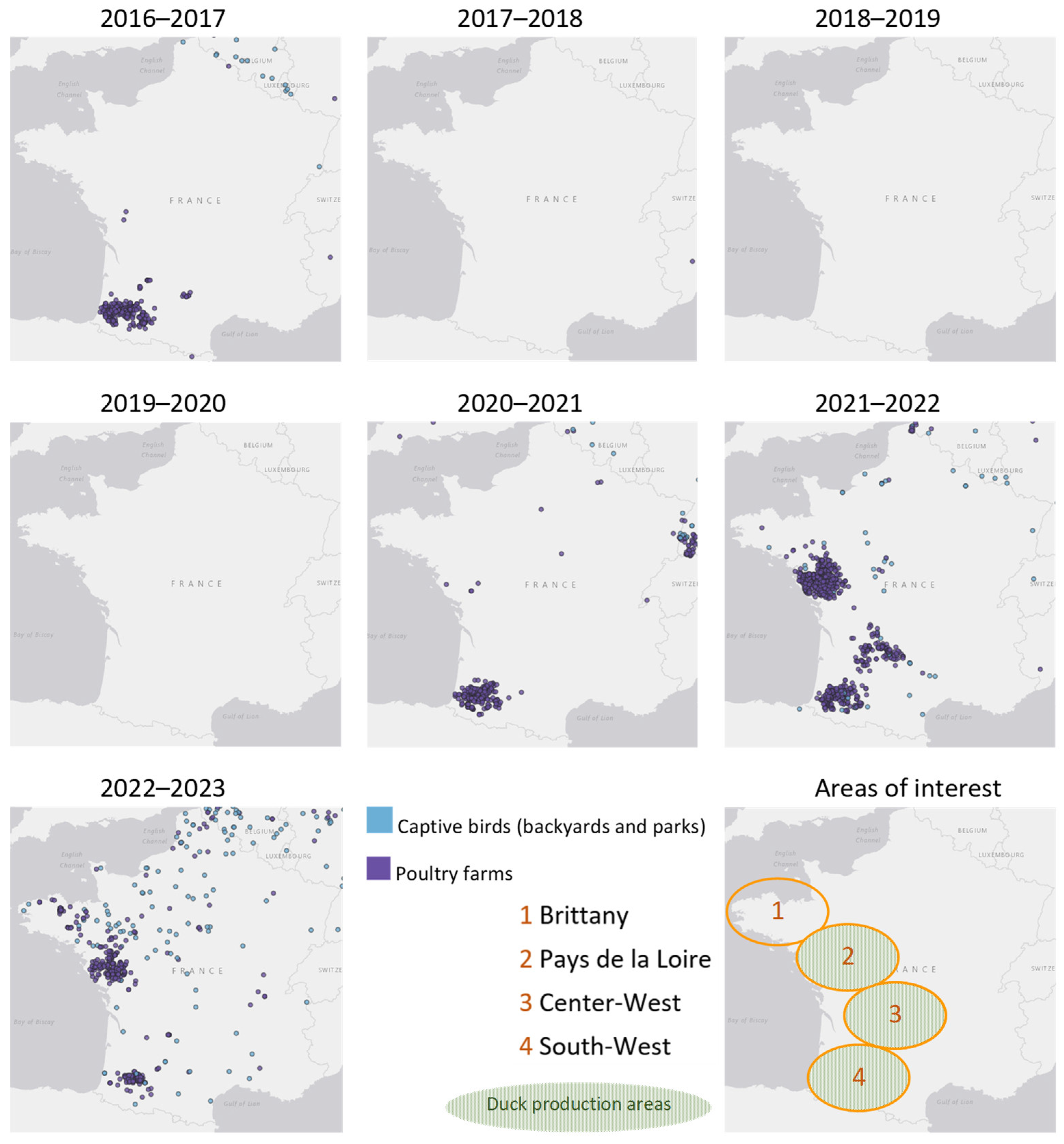 Viruses 16 00101 g006