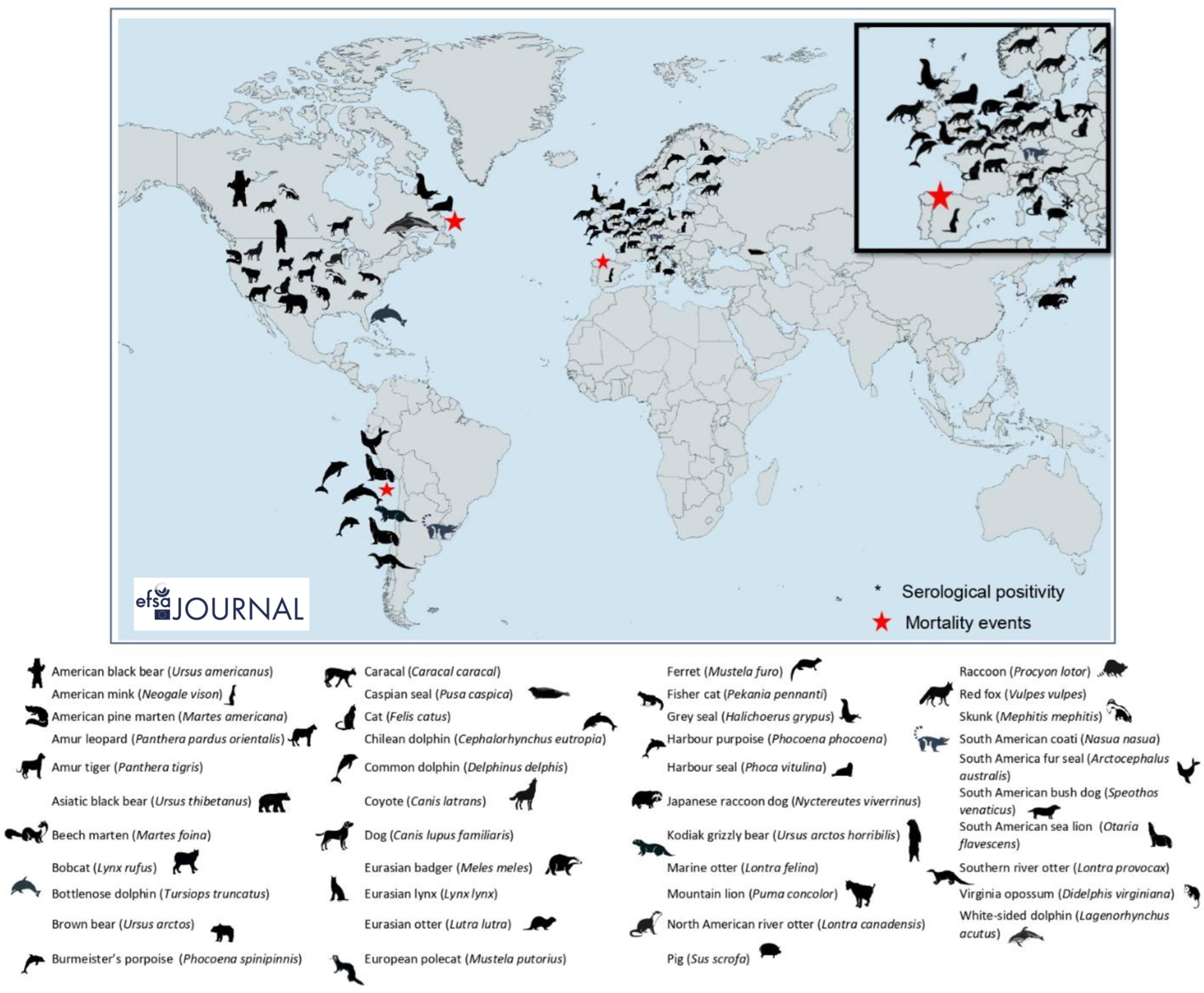 Viruses 16 00101 g008
