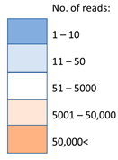 Viruses 16 00109 i001