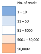 Viruses 16 00109 i002