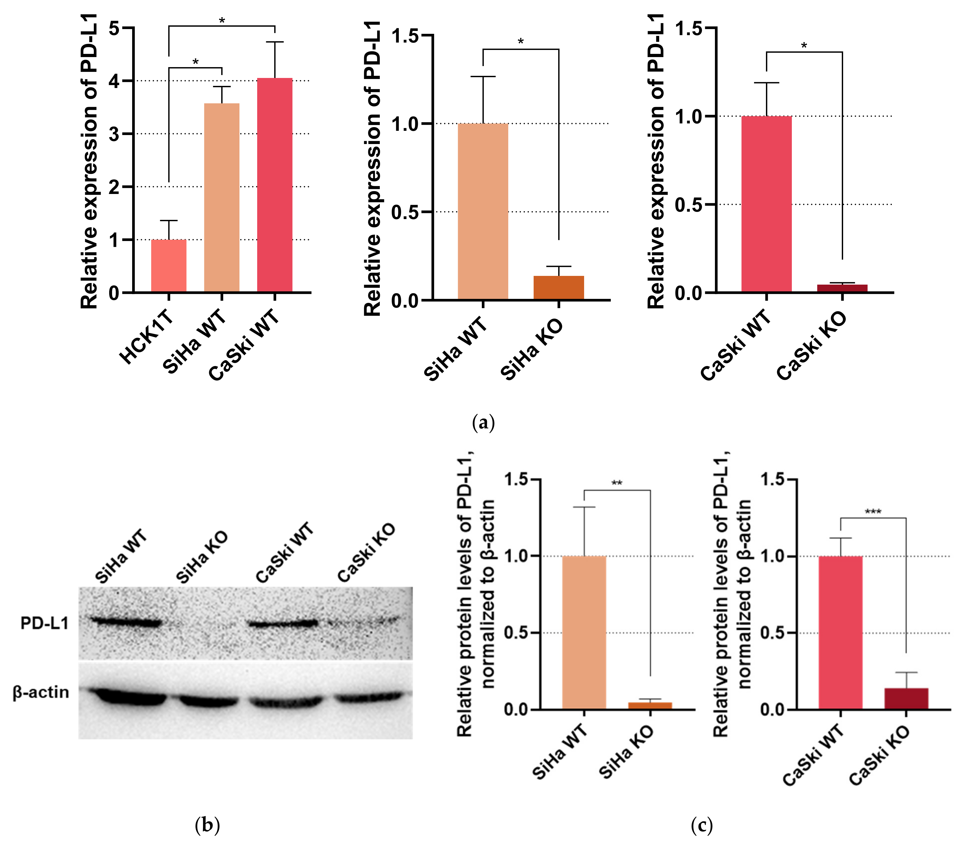 Viruses 16 00113 g002