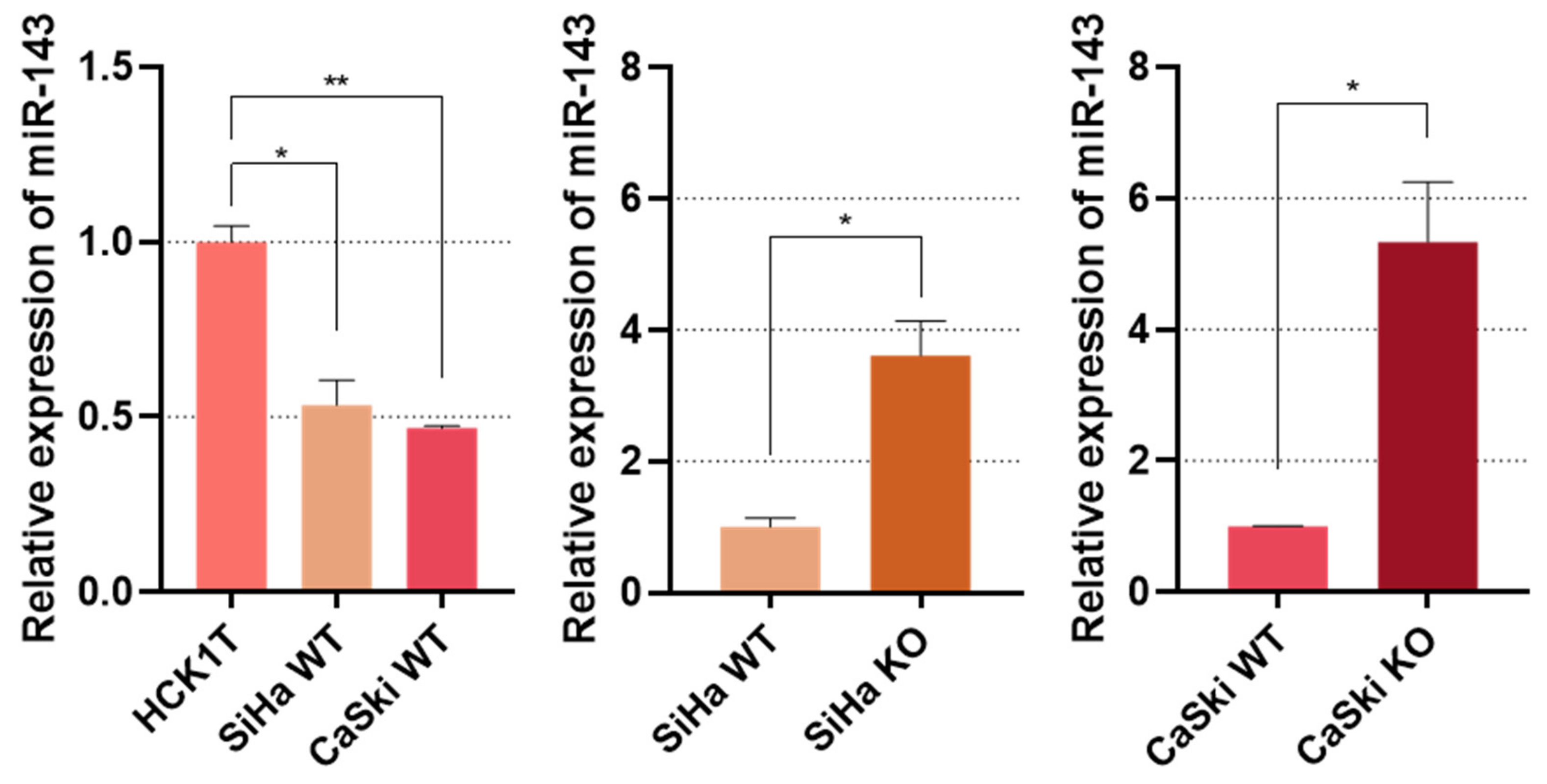 Viruses 16 00113 g004