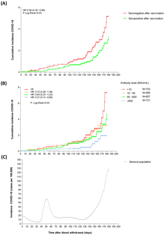 Viruses 16 00114 g002