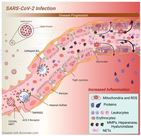 Viruses 16 00121 g001