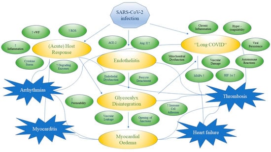 Viruses 16 00121 g002