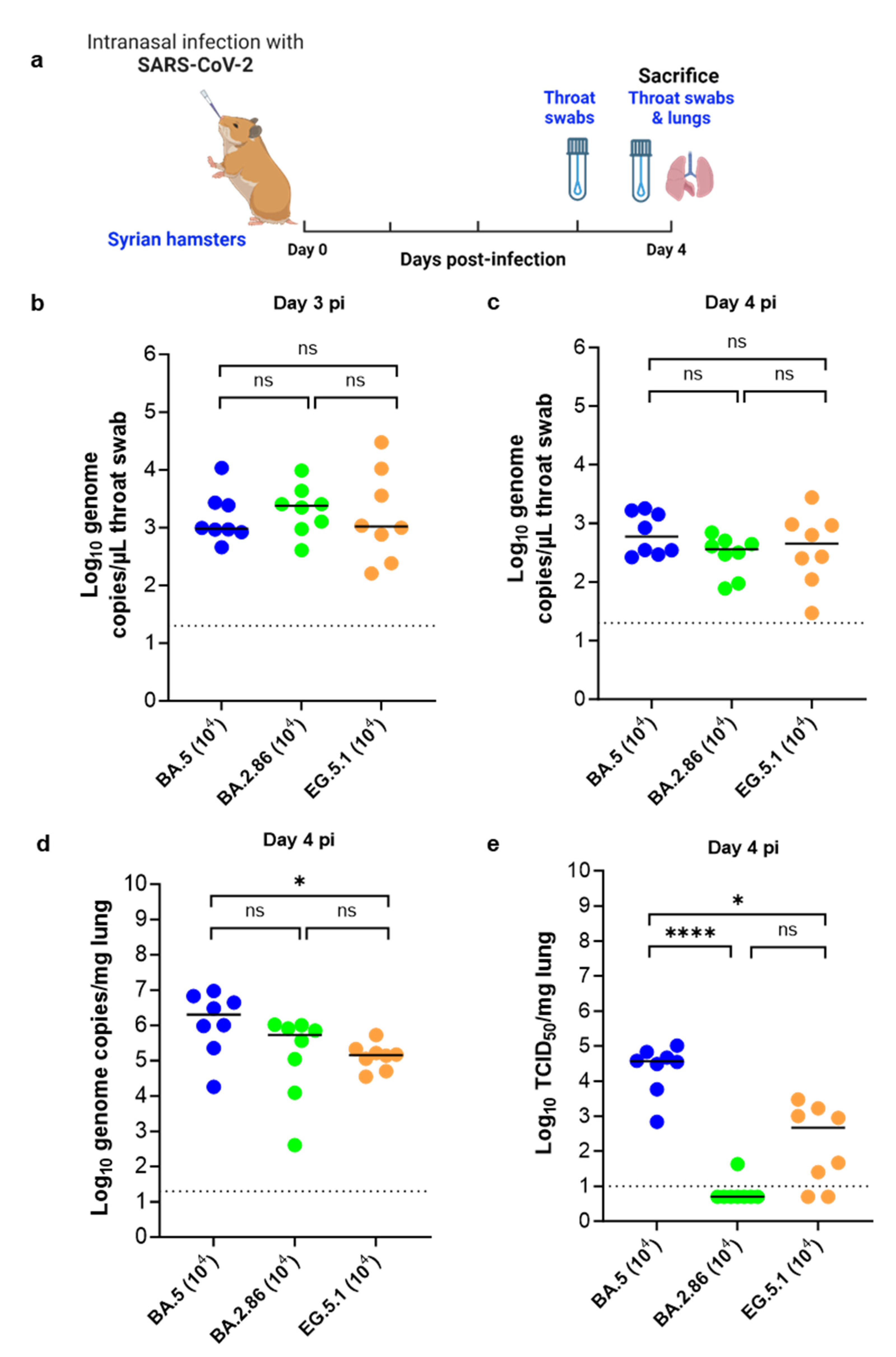 Viruses 16 00122 g001