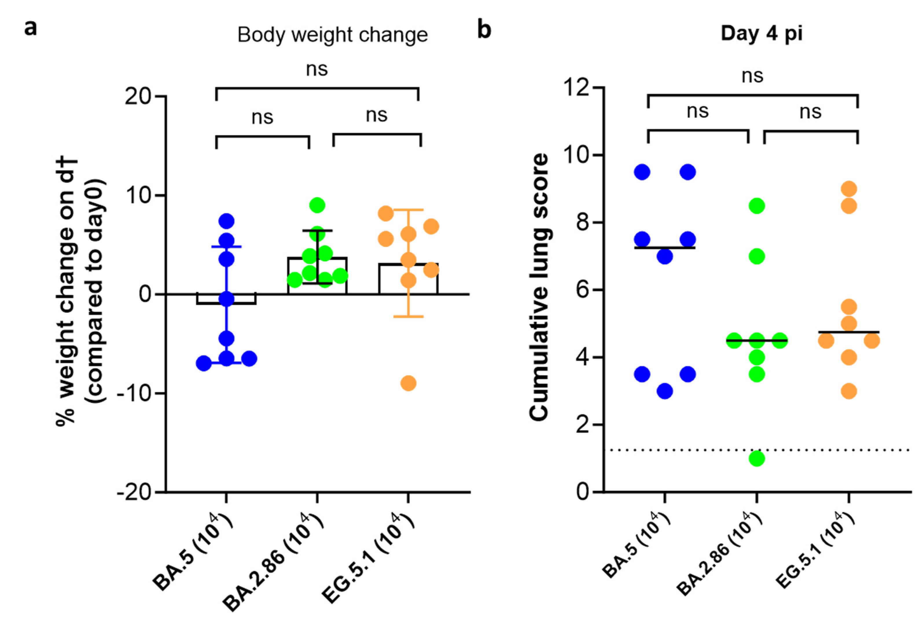 Viruses 16 00122 g002