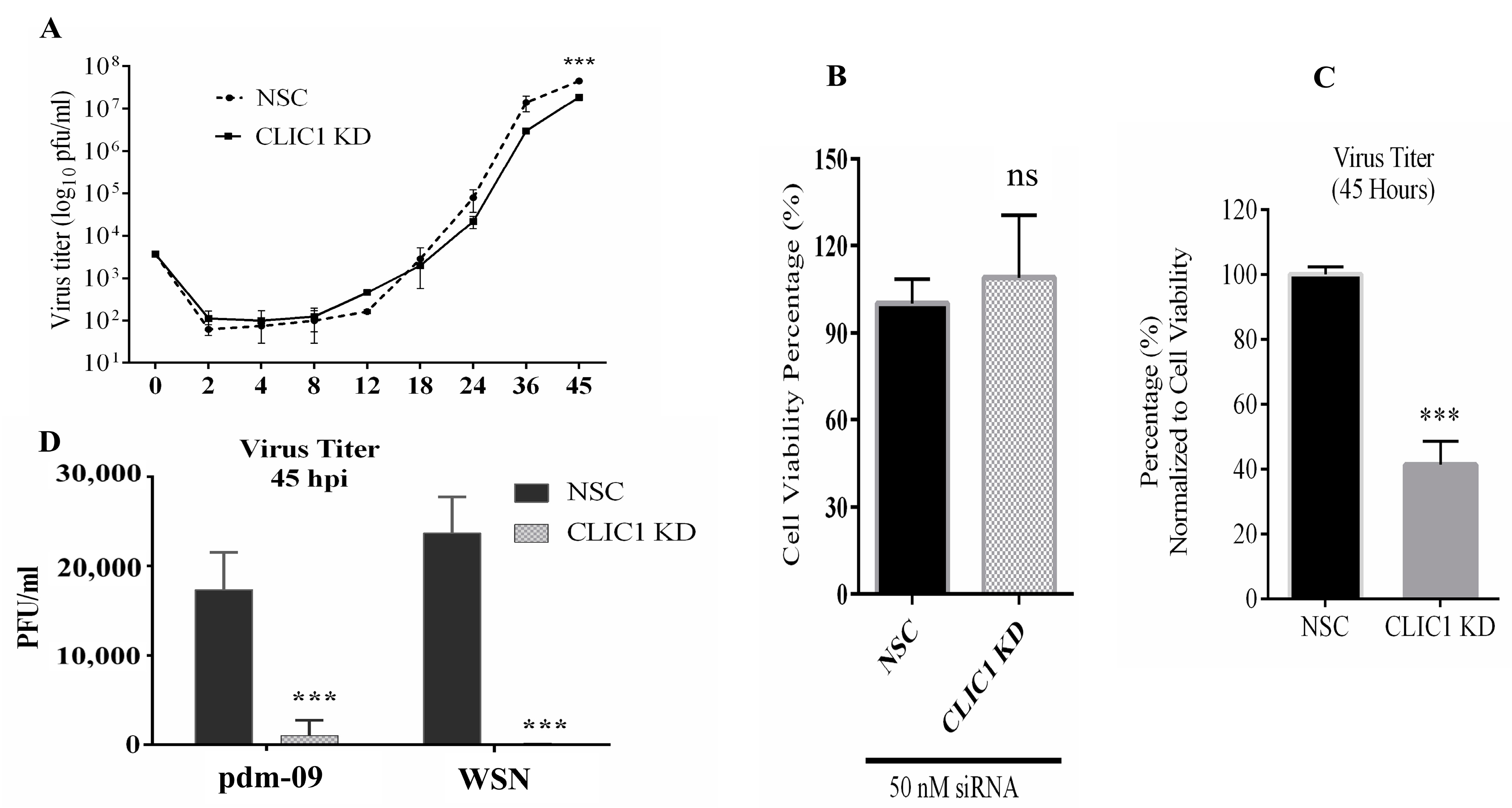 Viruses 16 00129 g002