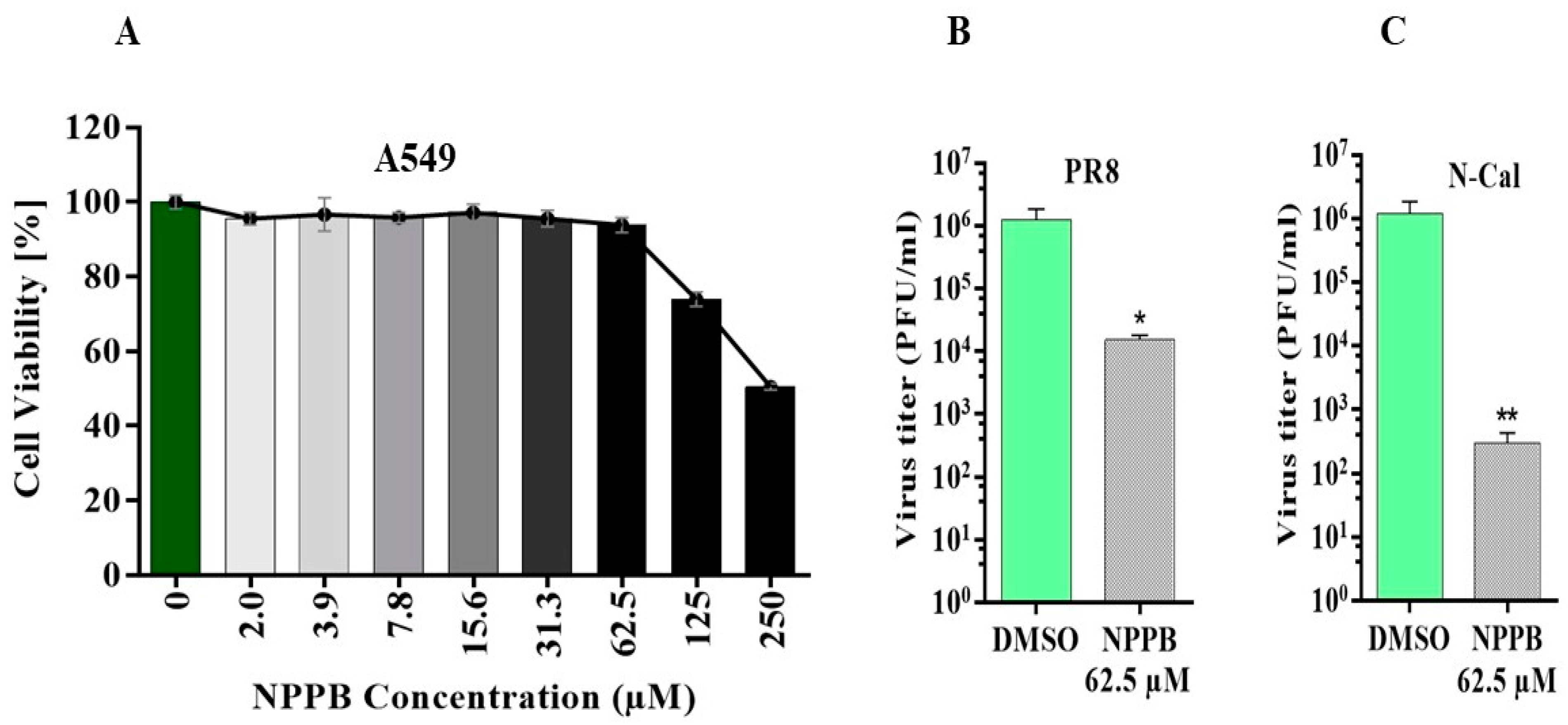 Viruses 16 00129 g003