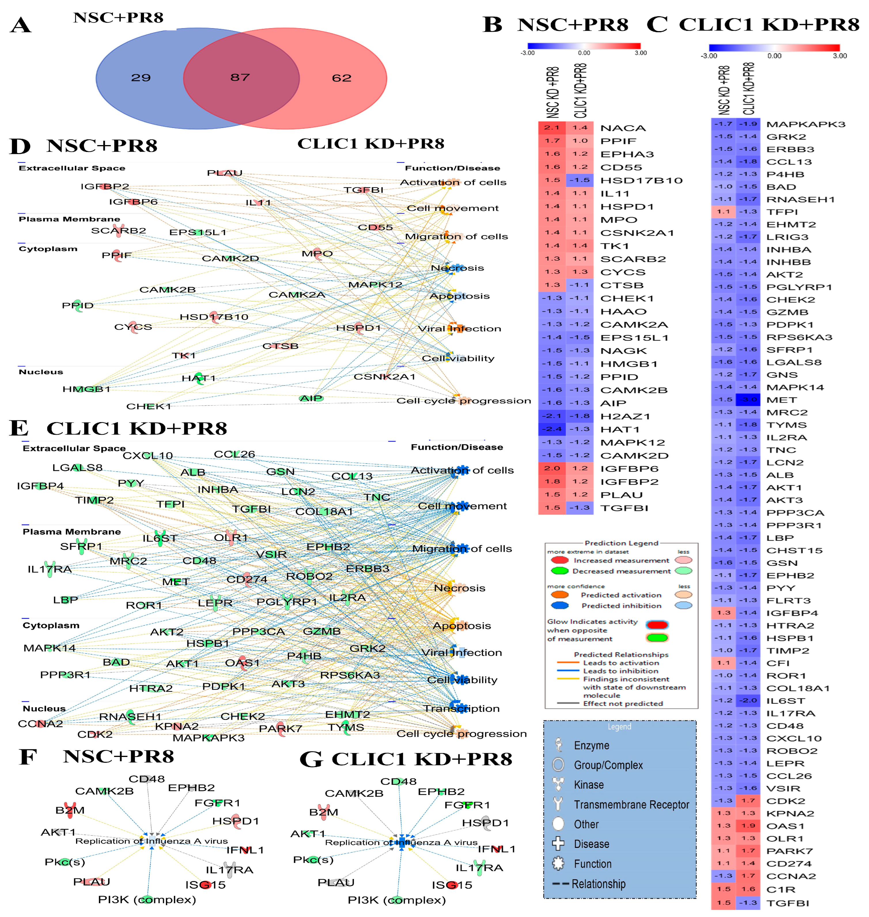 Viruses 16 00129 g005