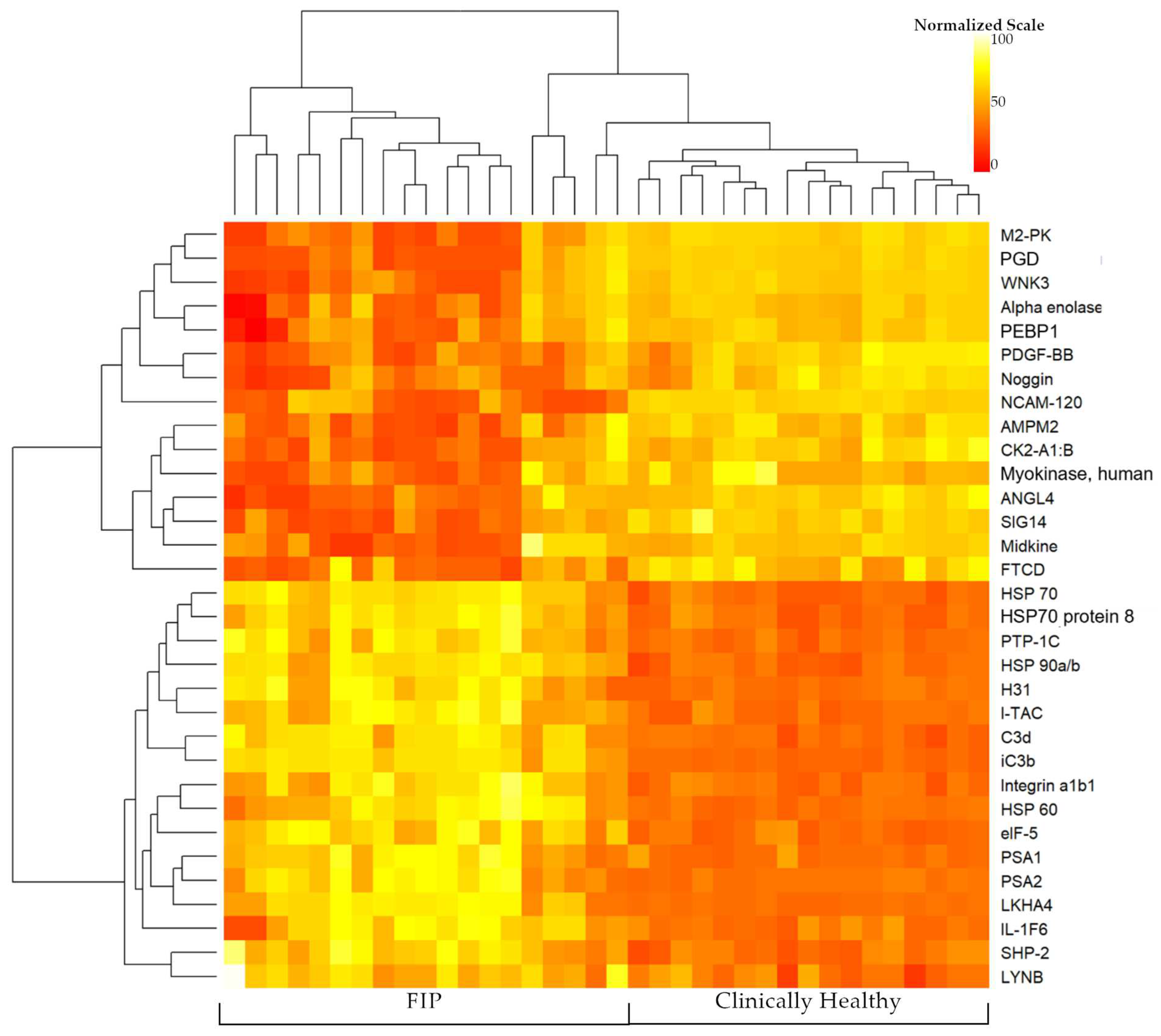 Viruses 16 00141 g002 Viruses 16 00141 g002